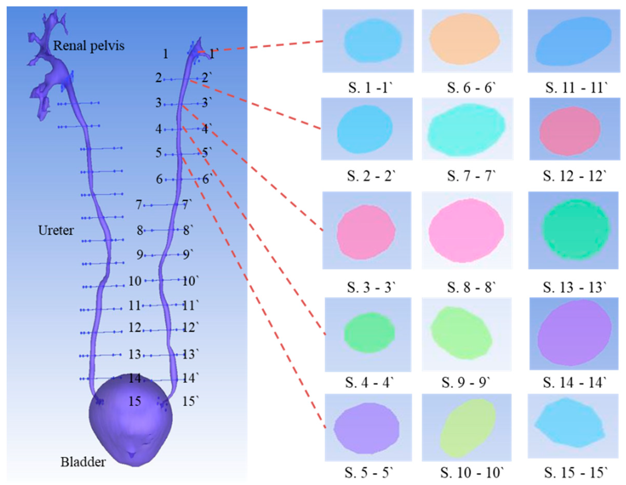 Applsci 10 04291 g001