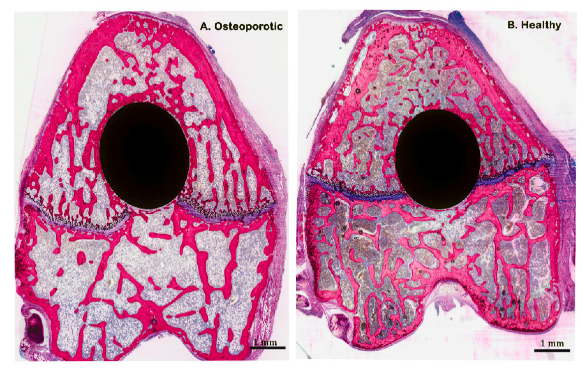 Applsci 10 04298 g002
