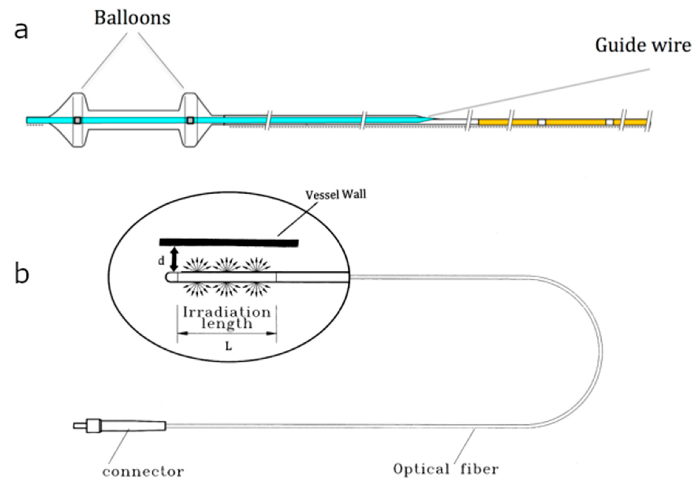 Applsci 10 04304 g001 Applsci 10 04304 g001