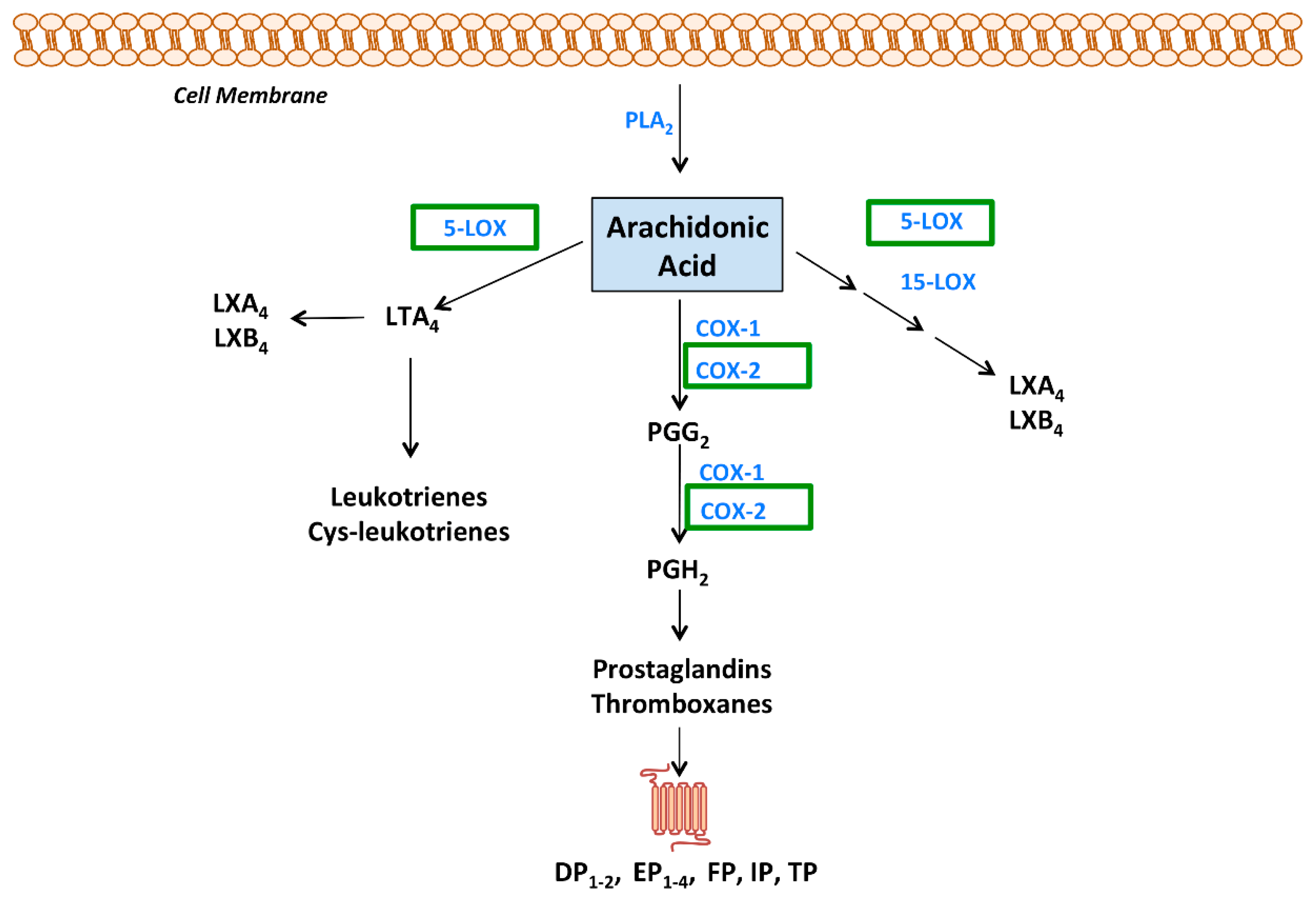 Applsci 10 04309 g002 Applsci 10 04309 g002