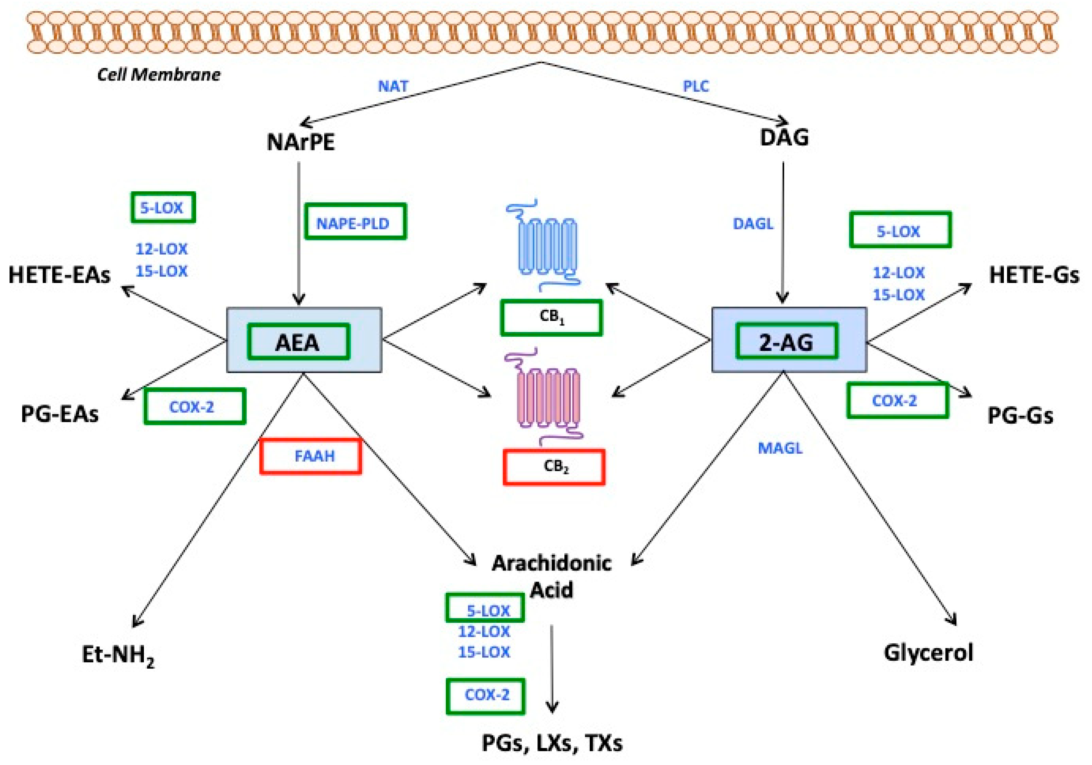 Applsci 10 04309 g003 Applsci 10 04309 g003