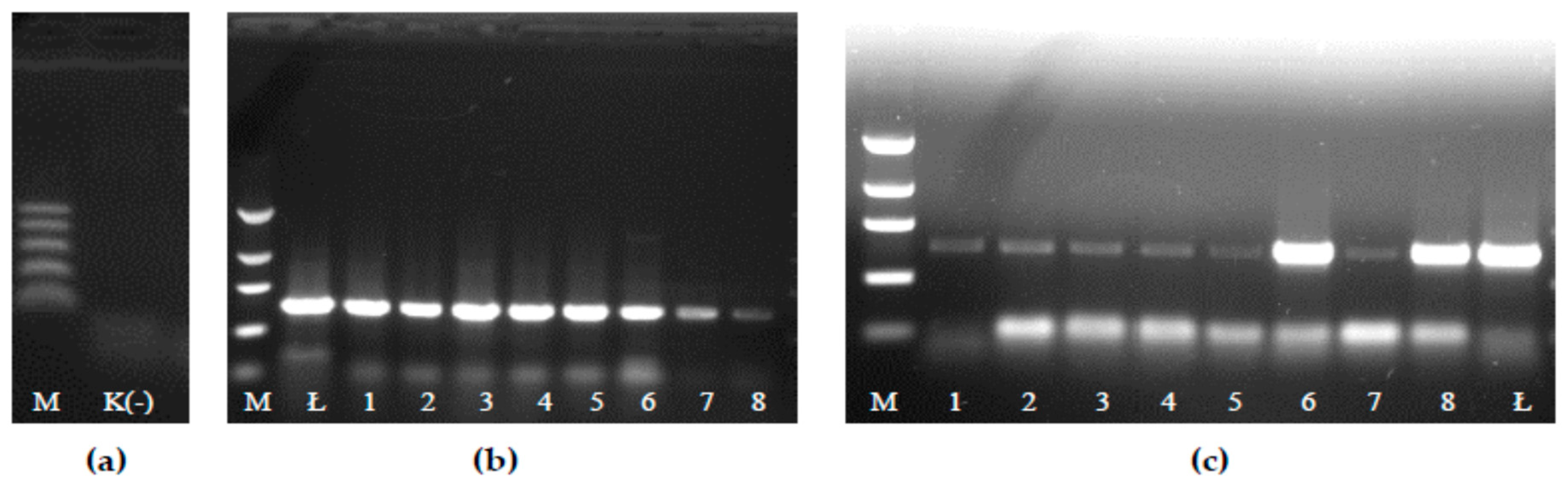 Applsci 10 04311 g001 Applsci 10 04311 g001