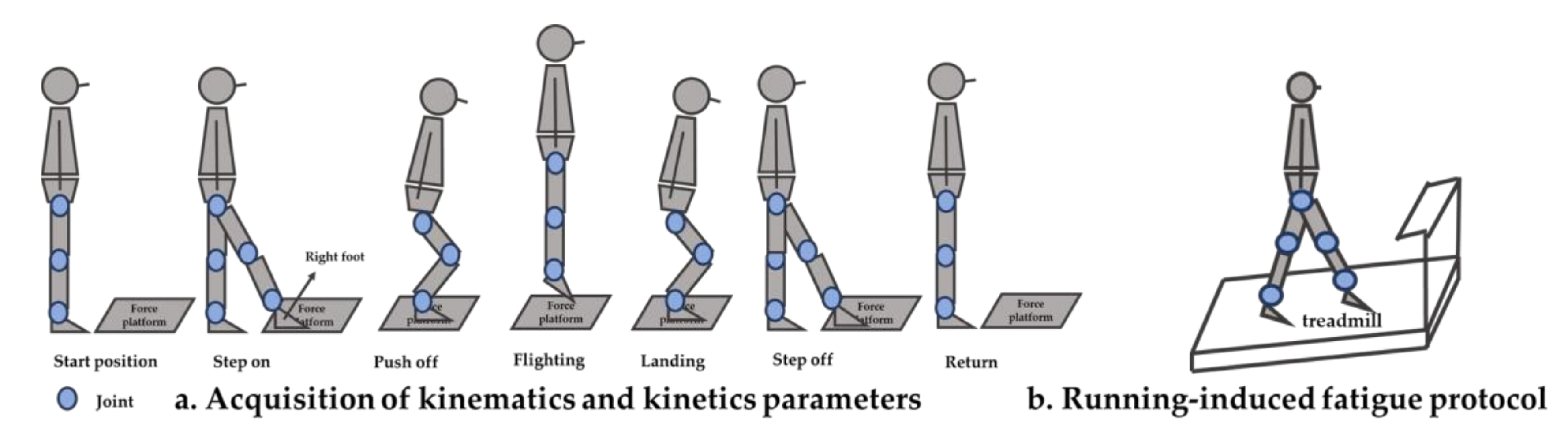 Phases of the standing broad jump: (A) start of takeoff phase, (B)