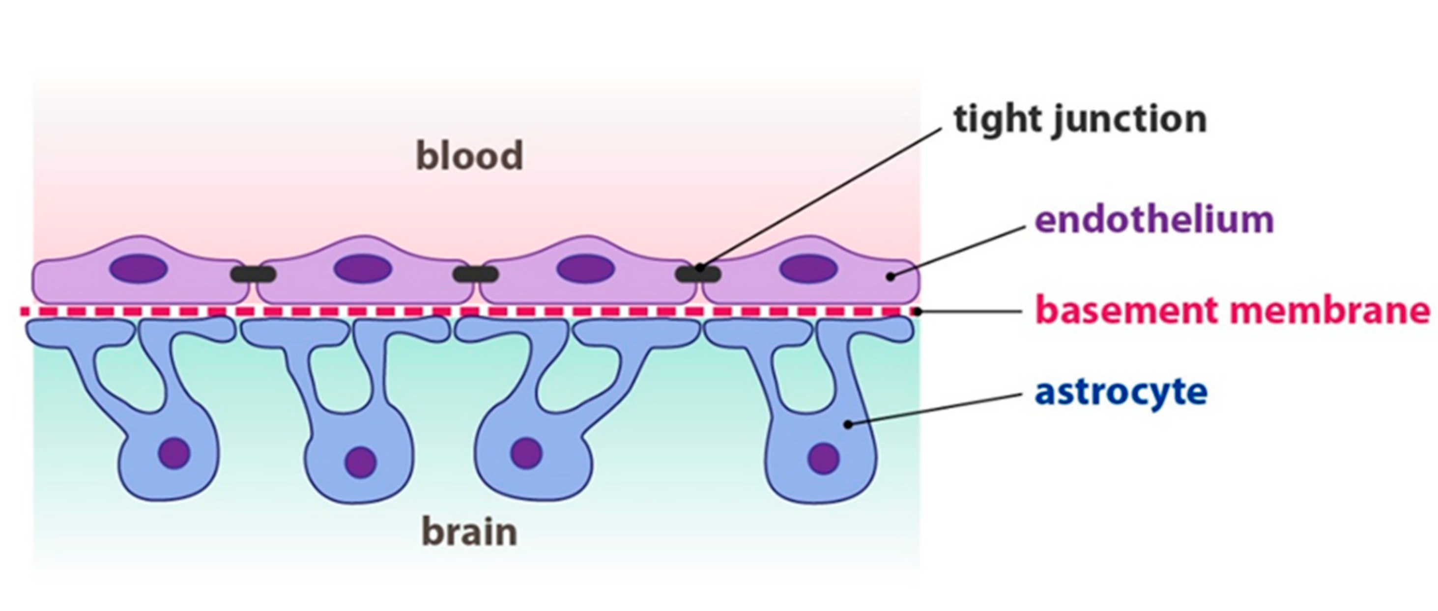 Applsci 10 04323 g002
