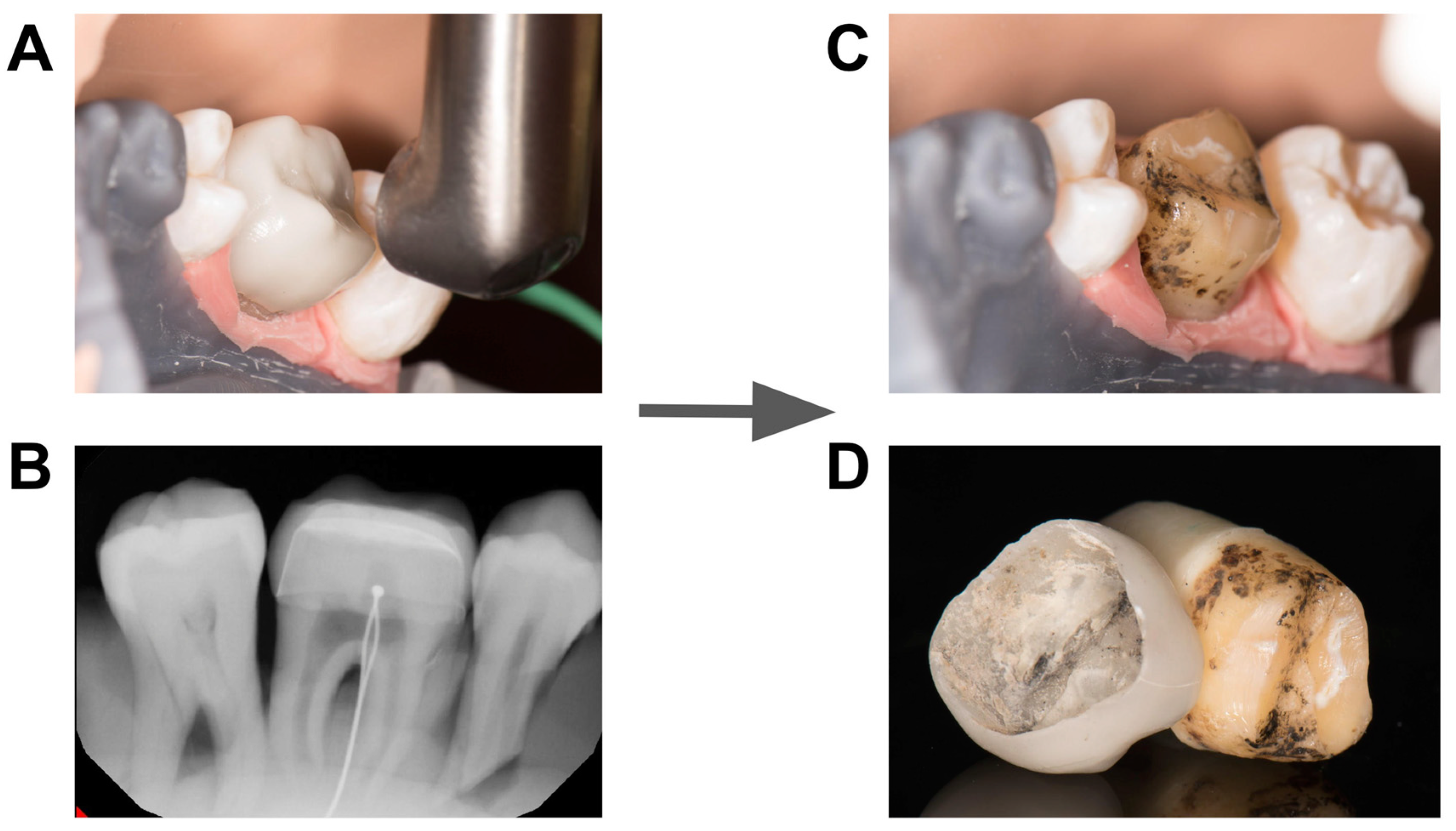 Applsci 10 04357 g002 Applsci 10 04357 g002