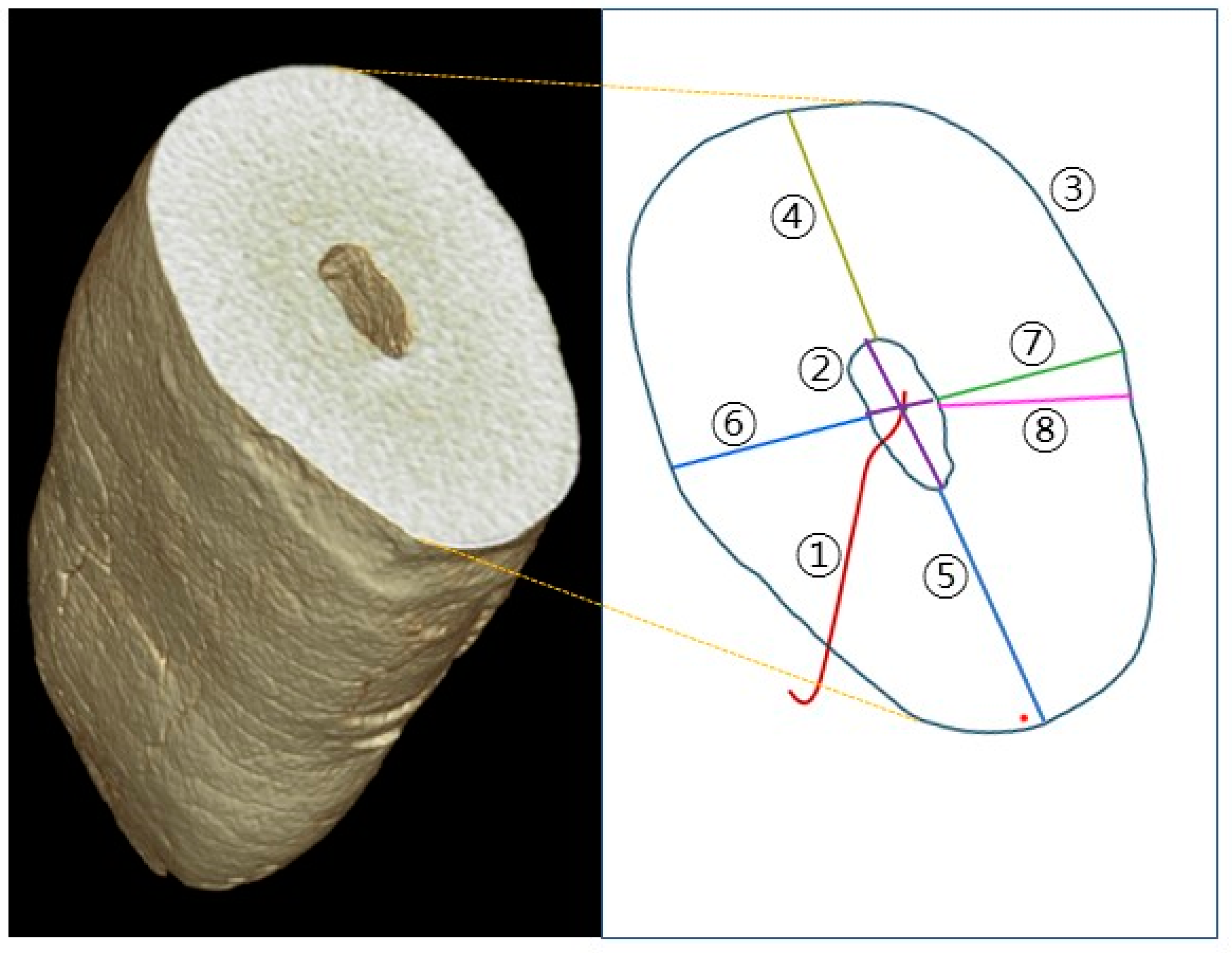 Applsci 10 04385 g003