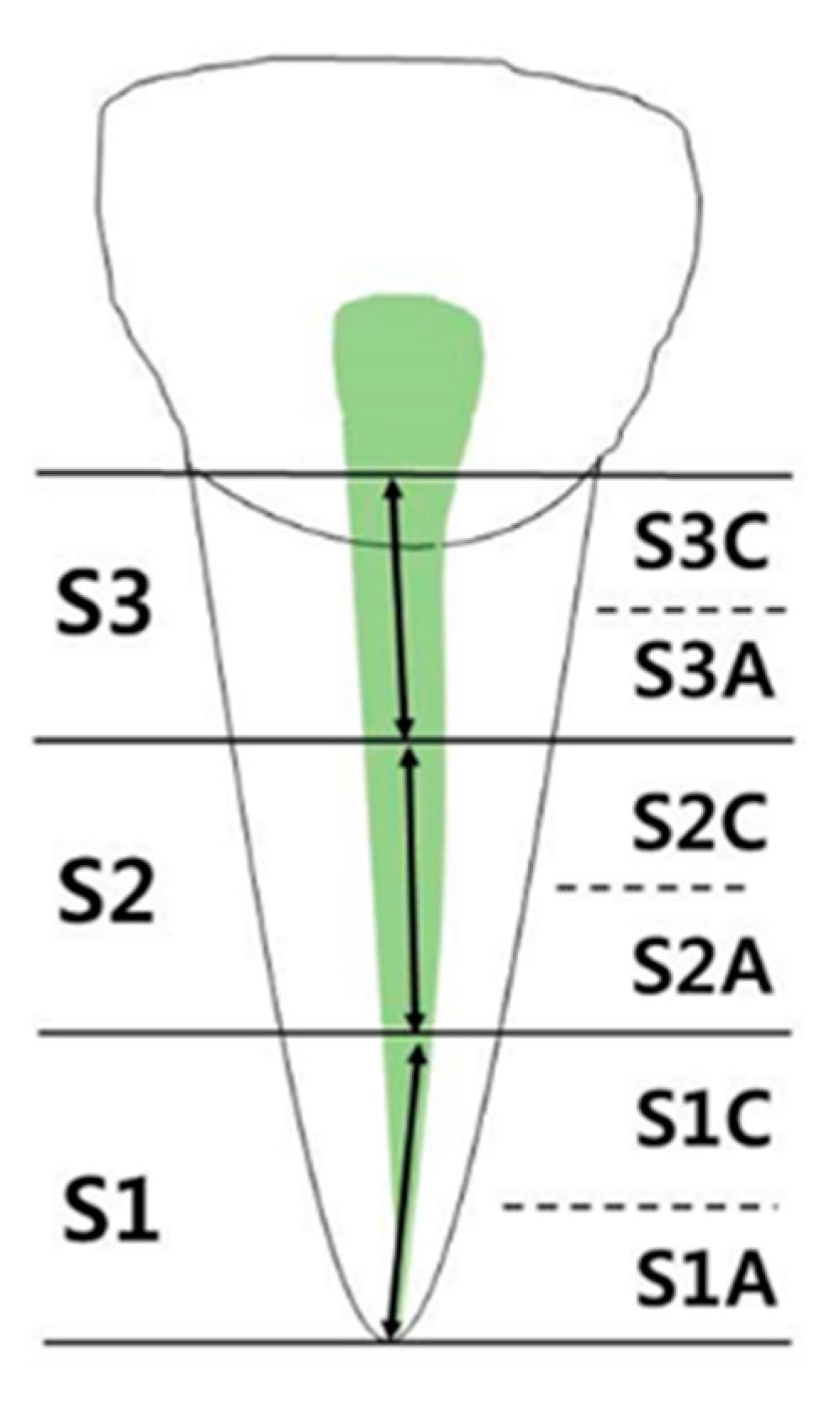 Applsci 10 04385 g004