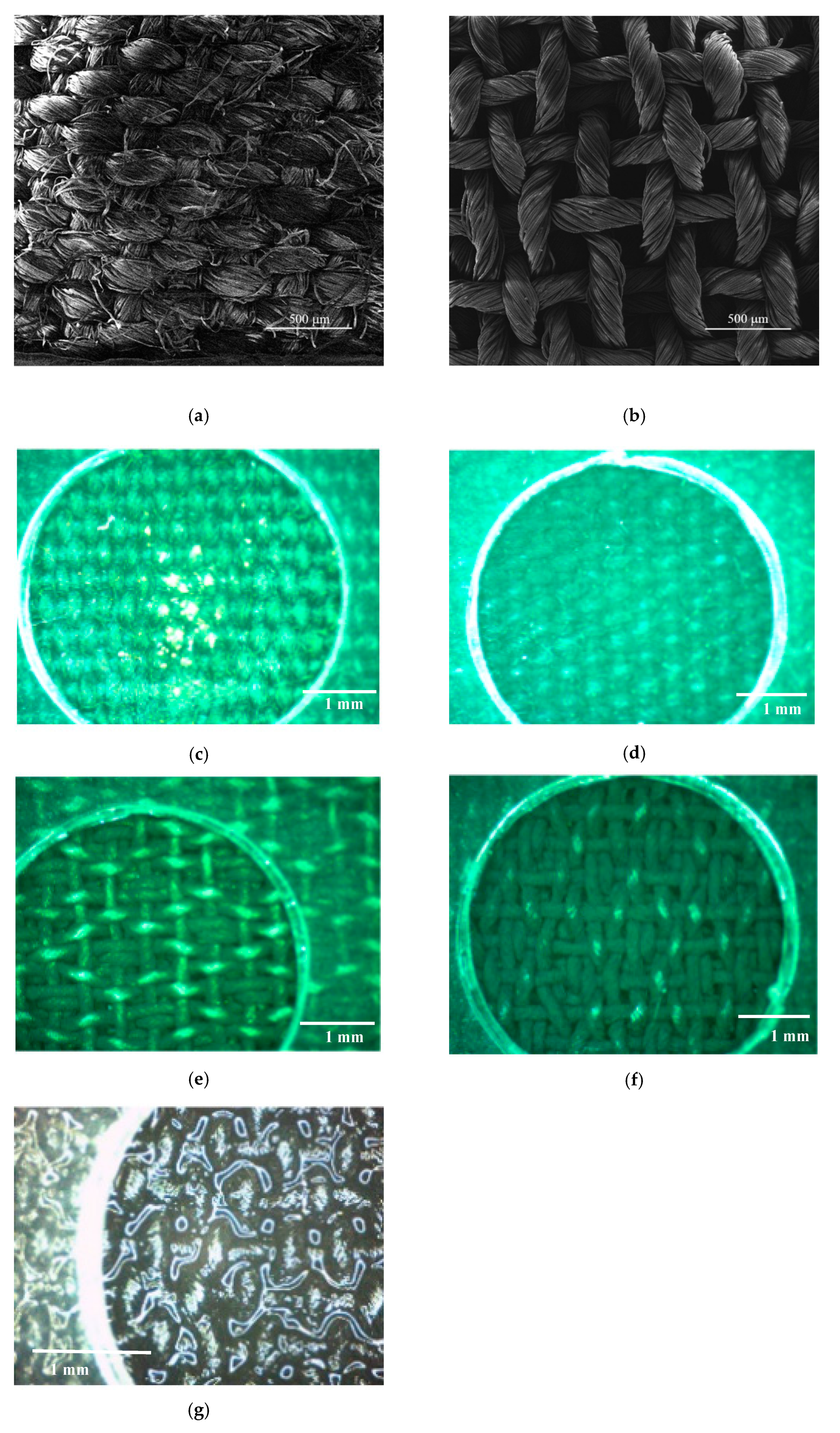 Applsci 10 04392 g004 Applsci 10 04392 g004