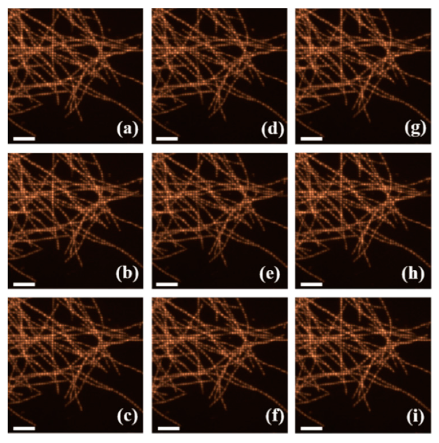 Applsci 10 04396 g006