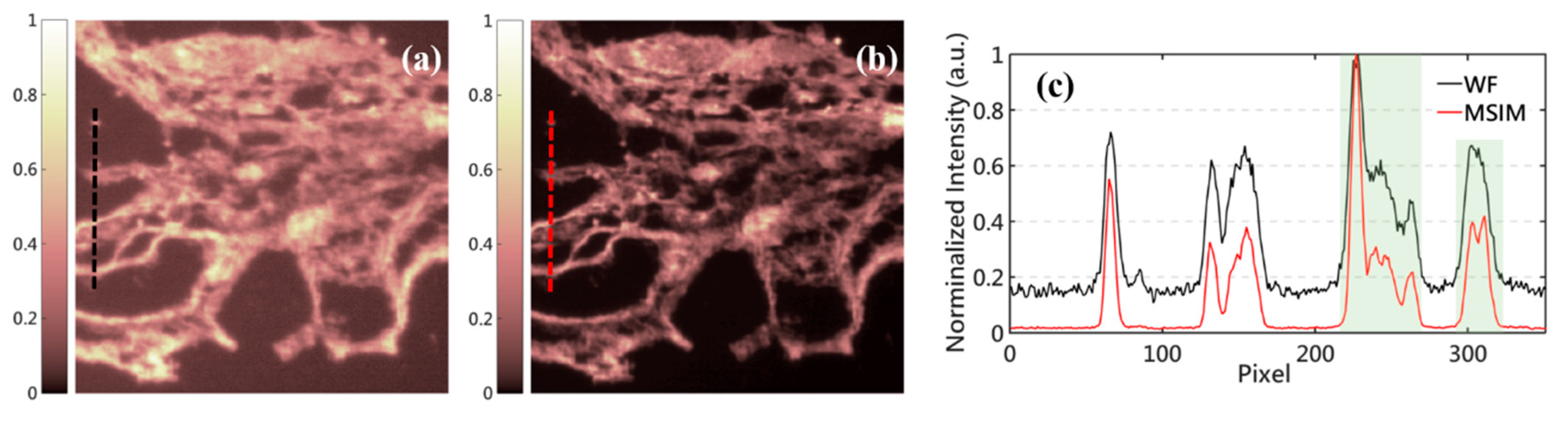 Applsci 10 04396 g009