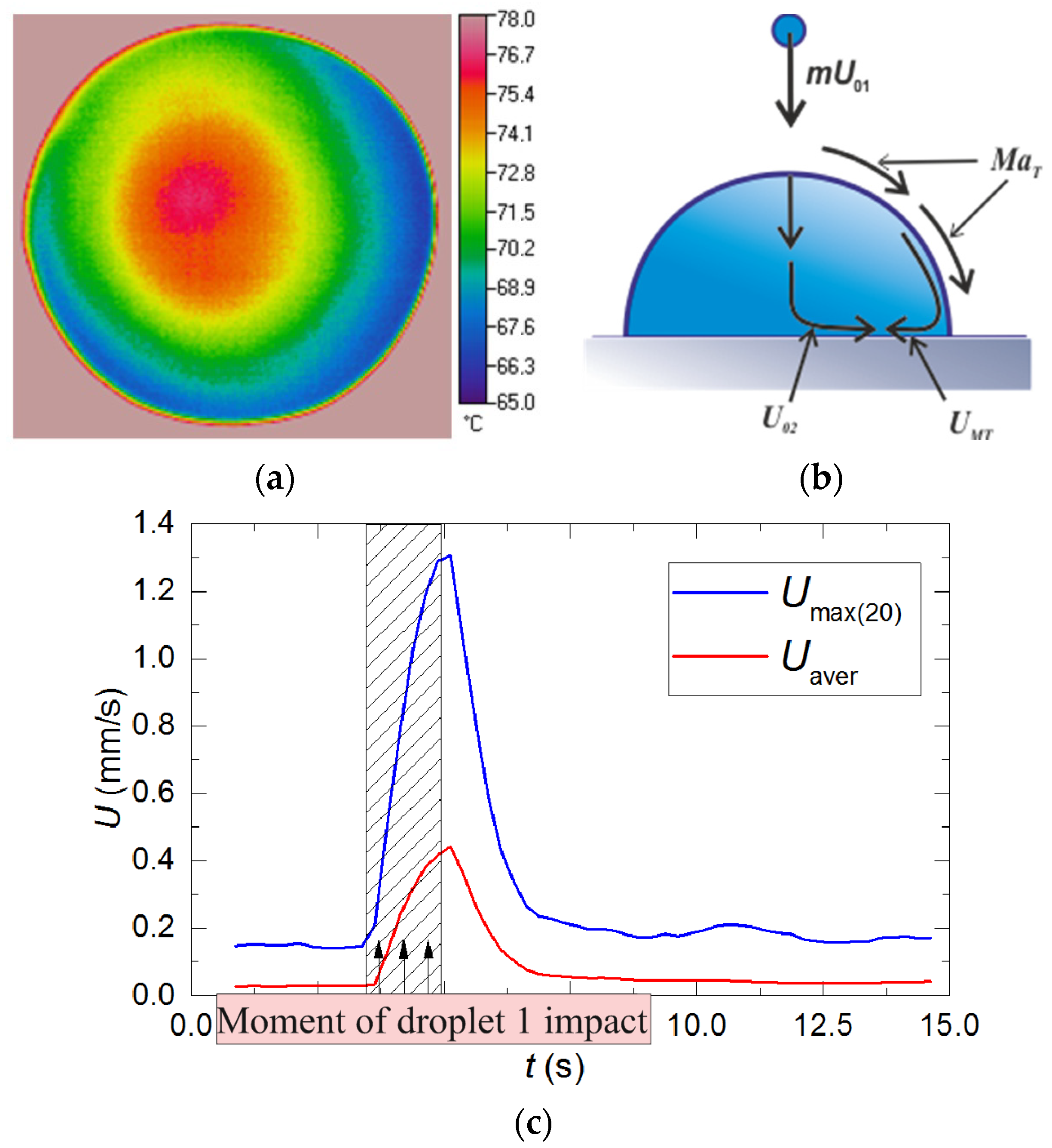 Applsci 10 04414 g005