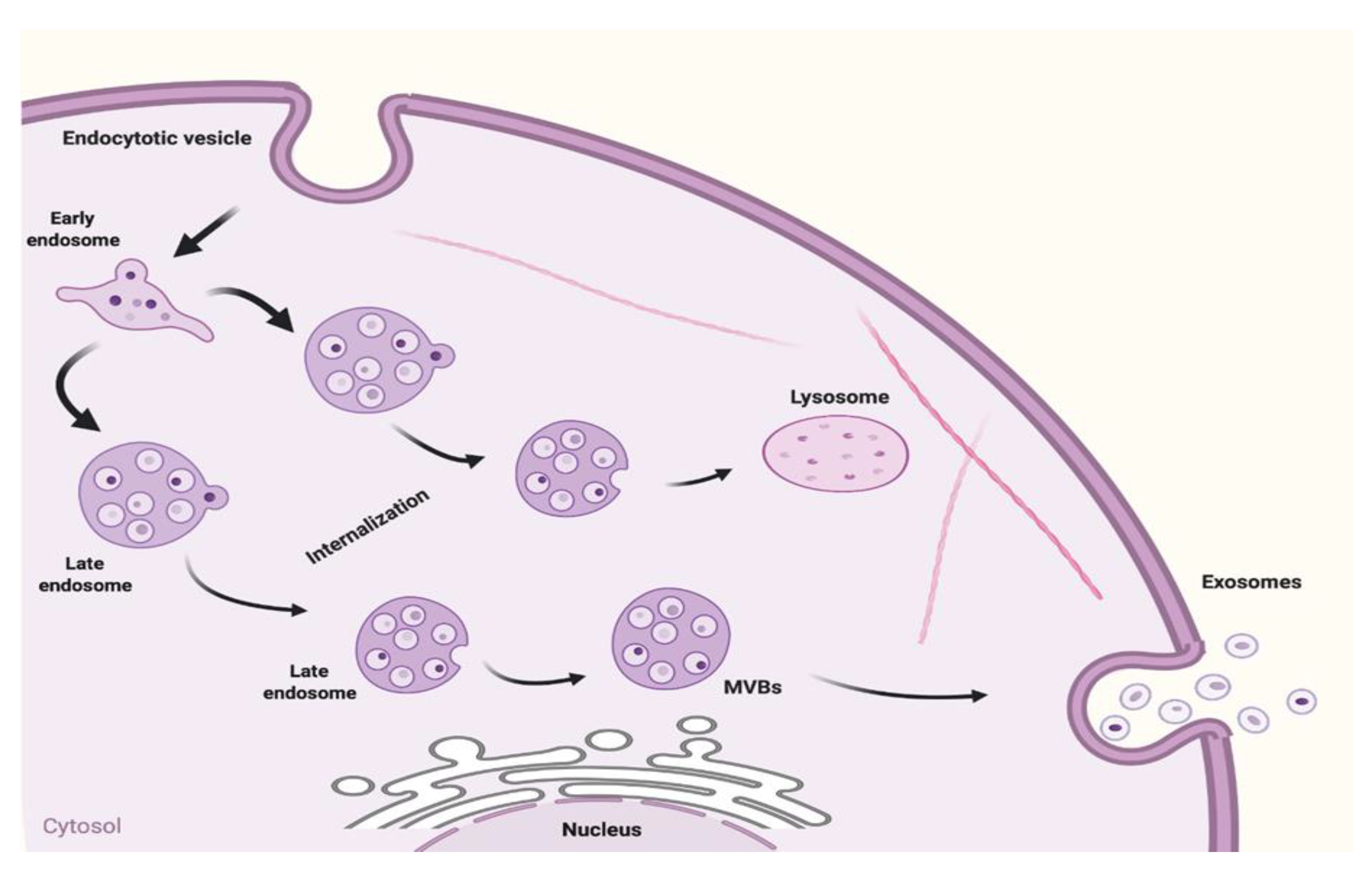 Applsci 10 04428 g001