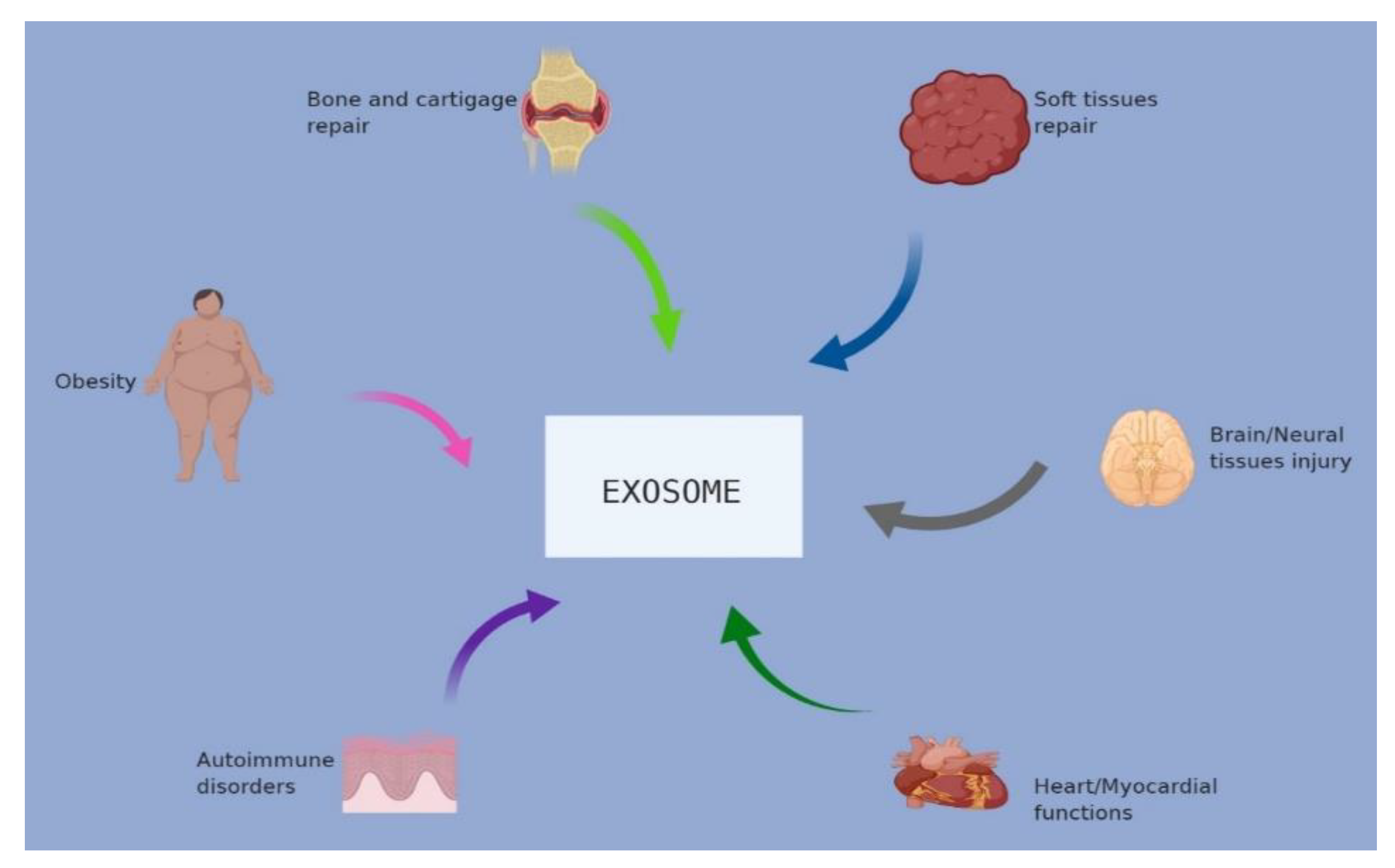 Applied Sciences Free Full Text Biogenesis Biologic Function