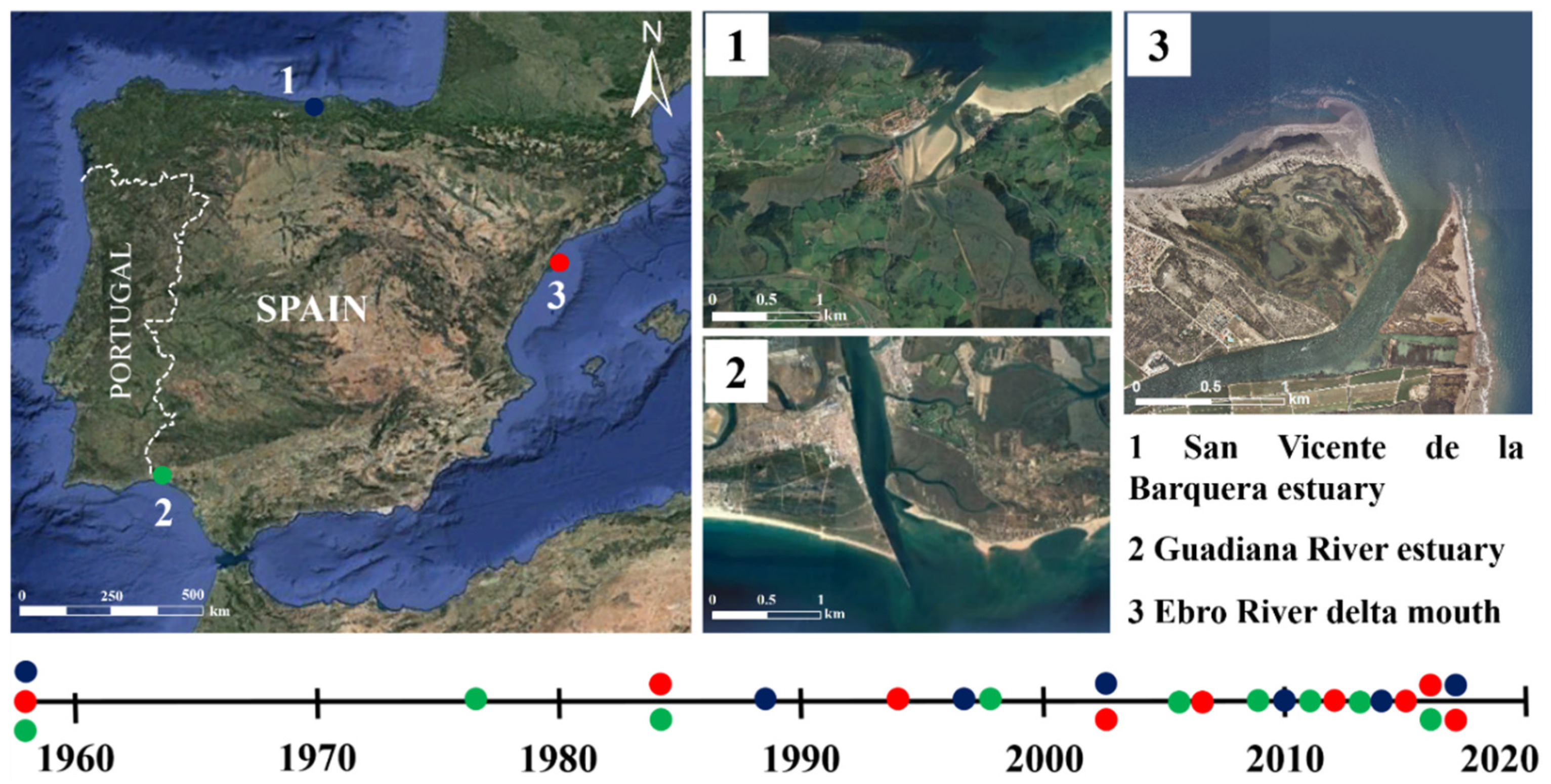 Applsci 10 04429 g001 Applsci 10 04429 g001