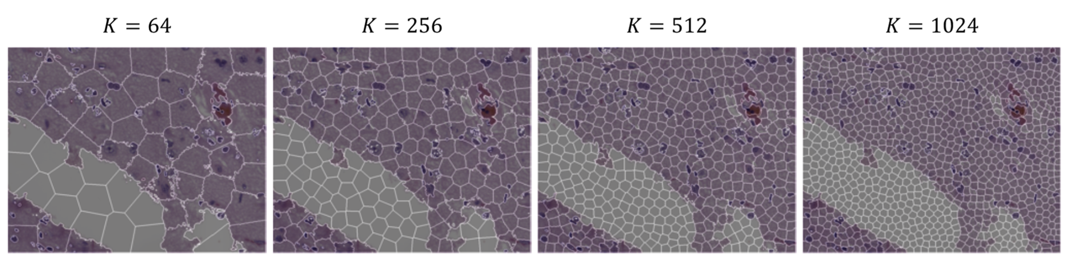 Applsci 10 04448 g007