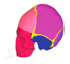 Applsci 10 04467 i004