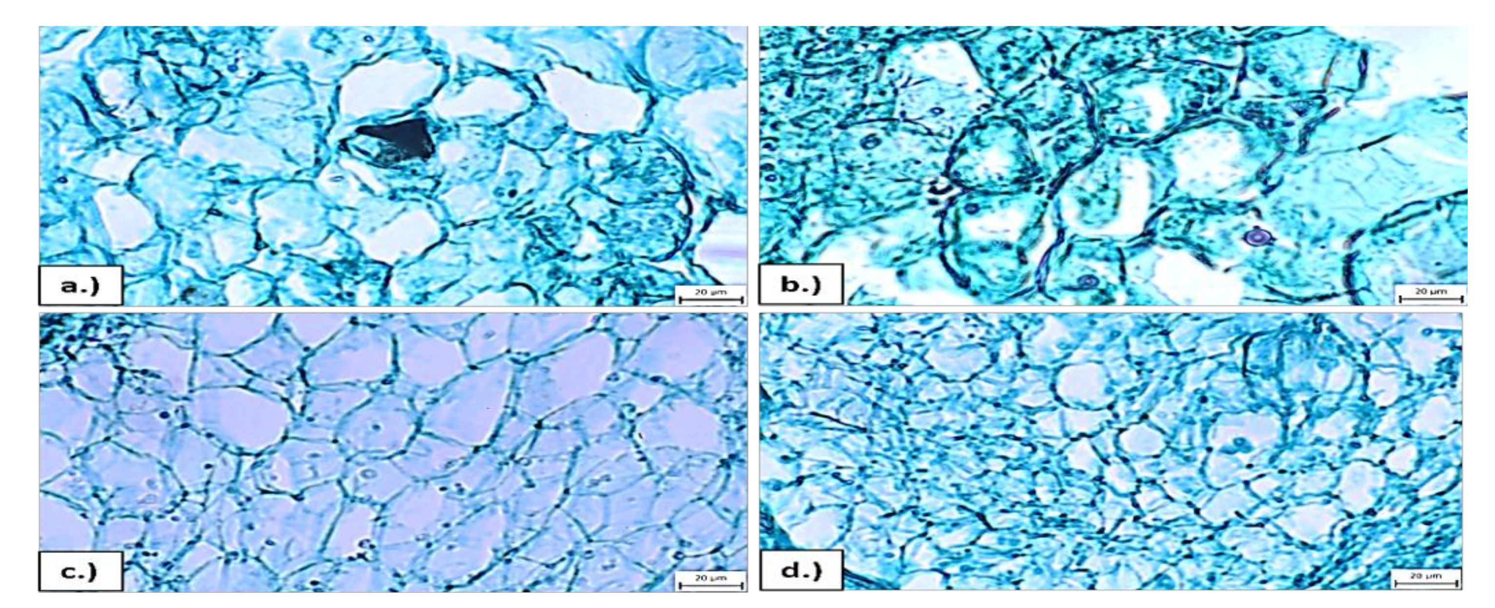 Applsci 10 04471 g002