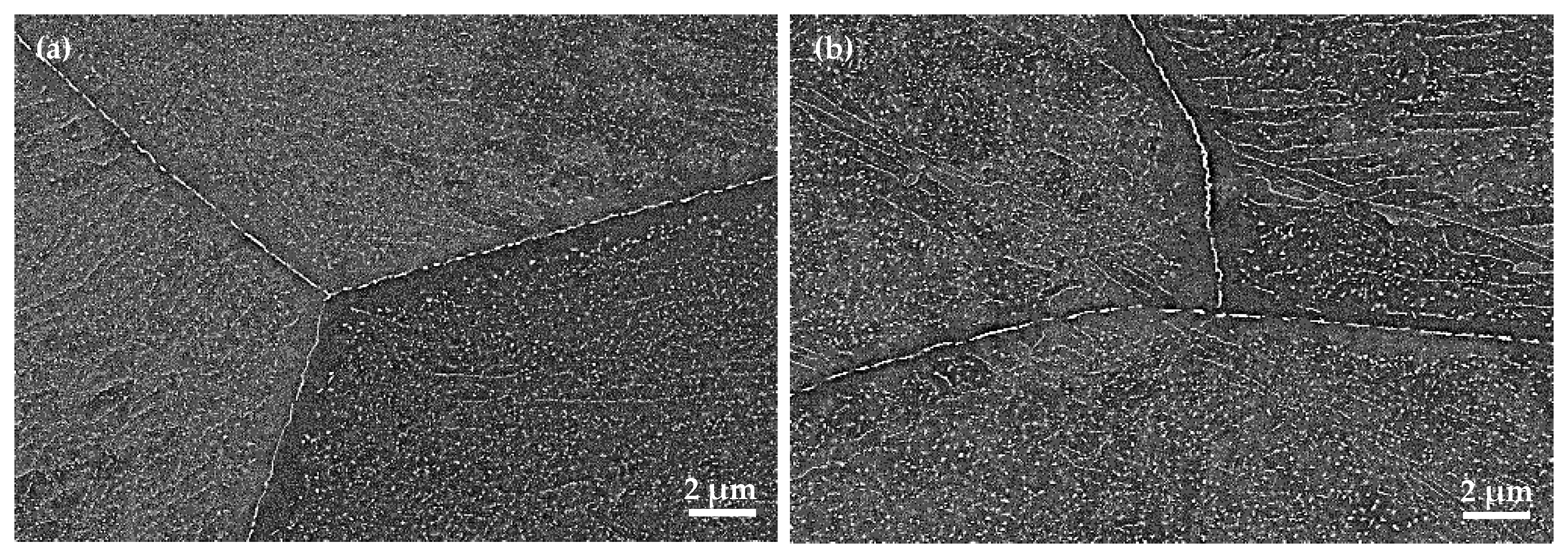 Applsci 10 04472 g006 Applsci 10 04472 g006