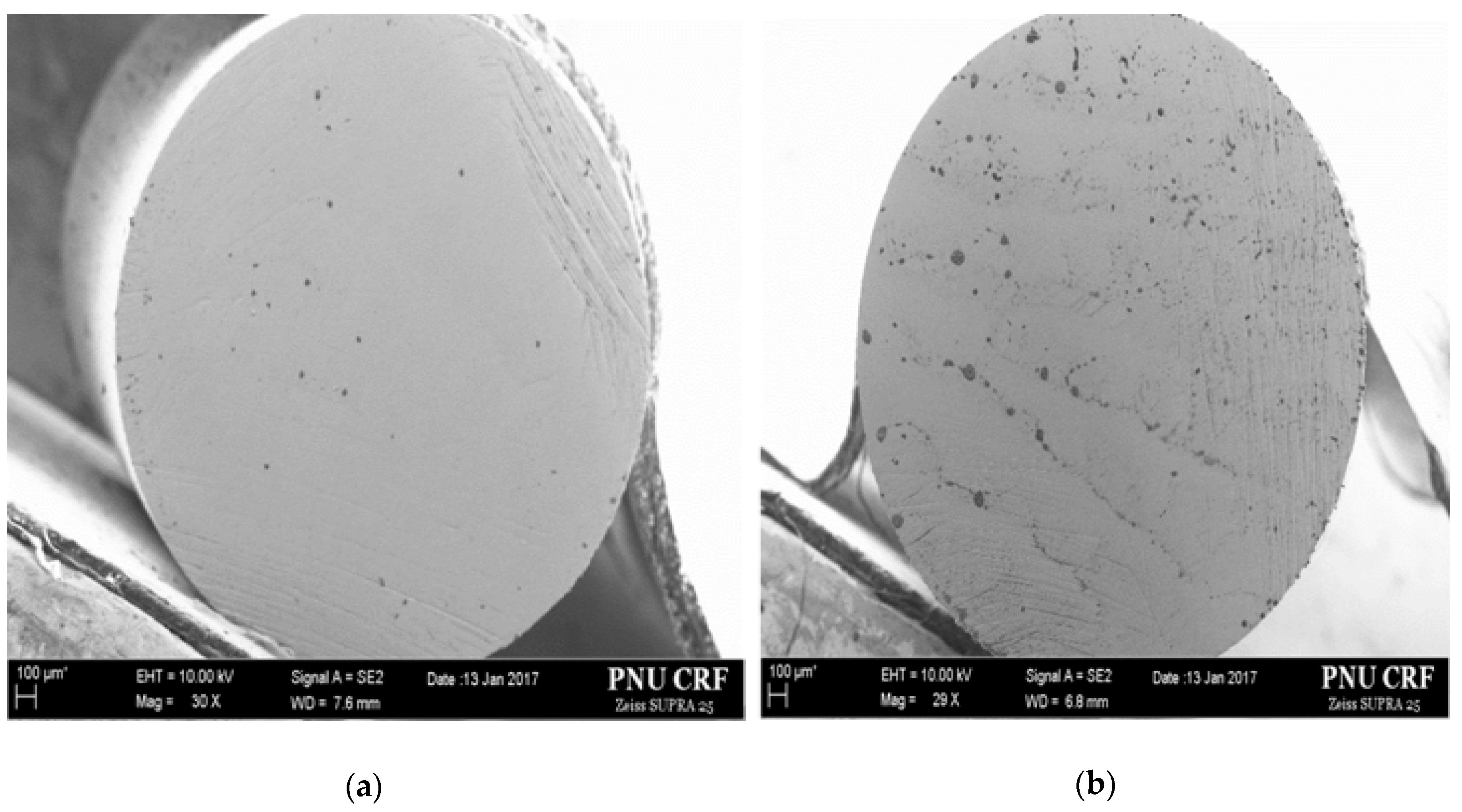 Applsci 10 04479 g017