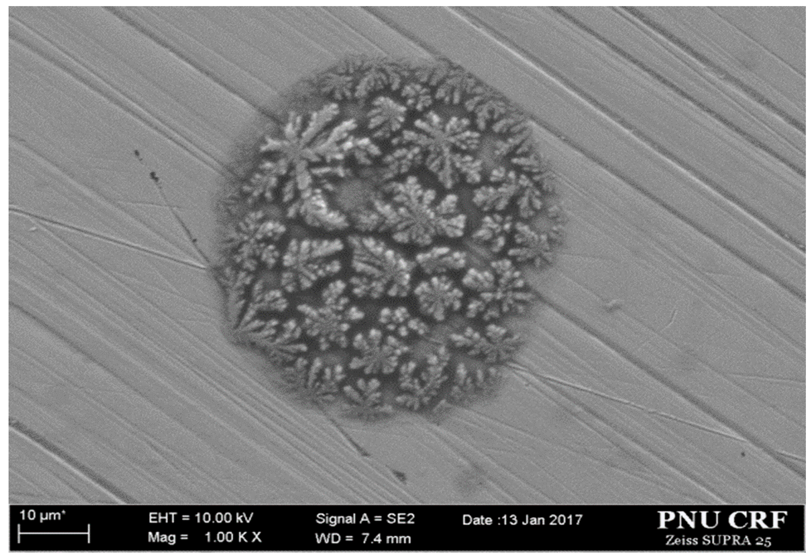 Applsci 10 04479 g018