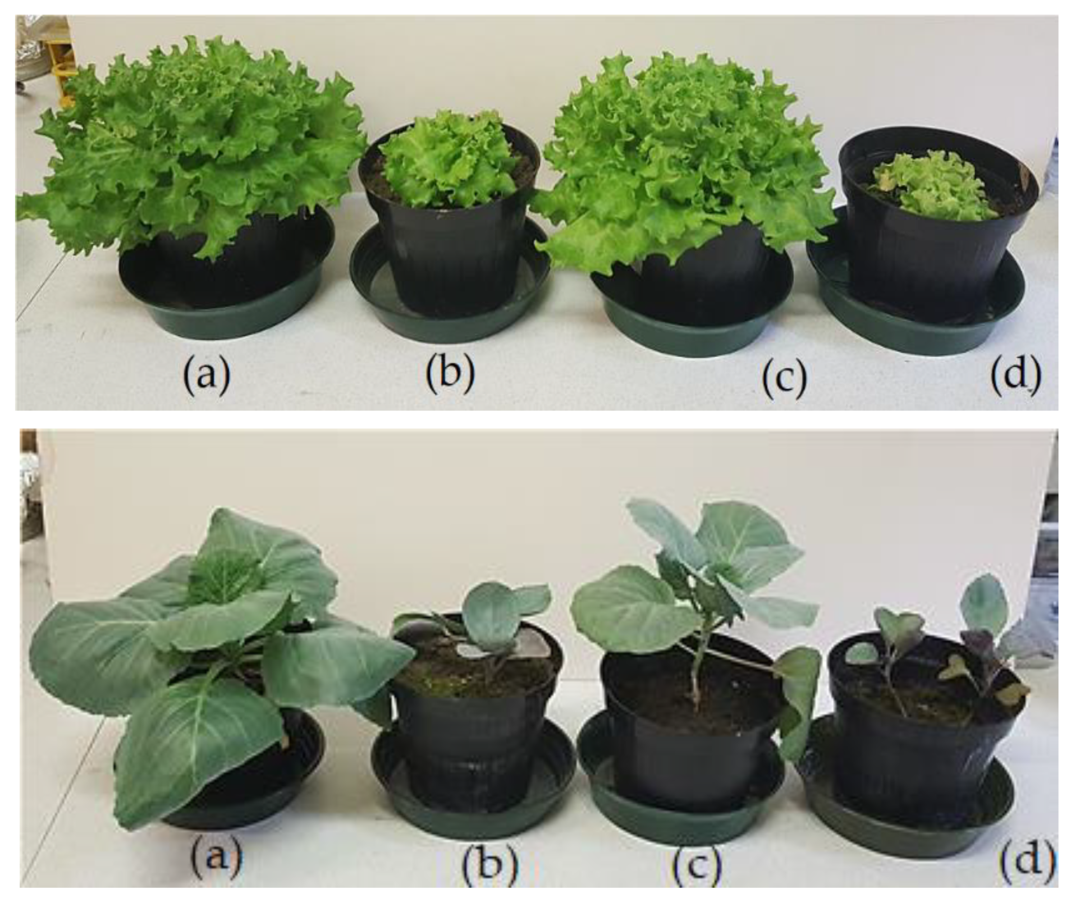 Applsci 10 04483 g001 Applsci 10 04483 g001