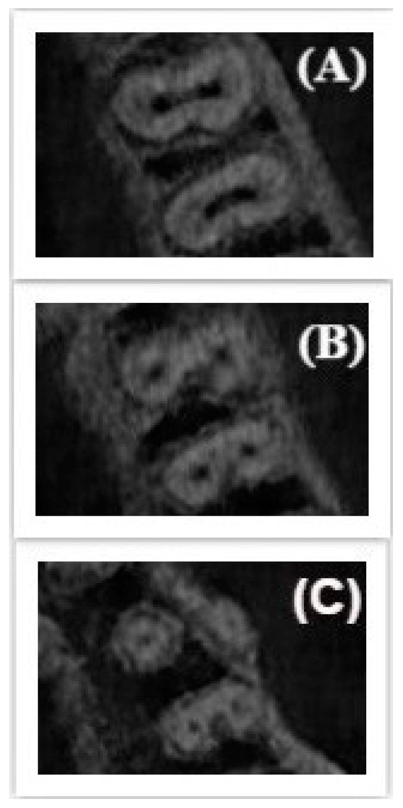 Applsci 10 04495 g003 Applsci 10 04495 g003