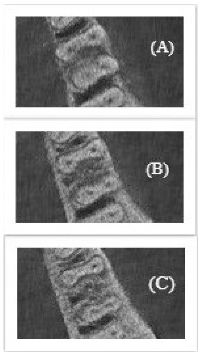 Applsci 10 04495 g005 Applsci 10 04495 g005