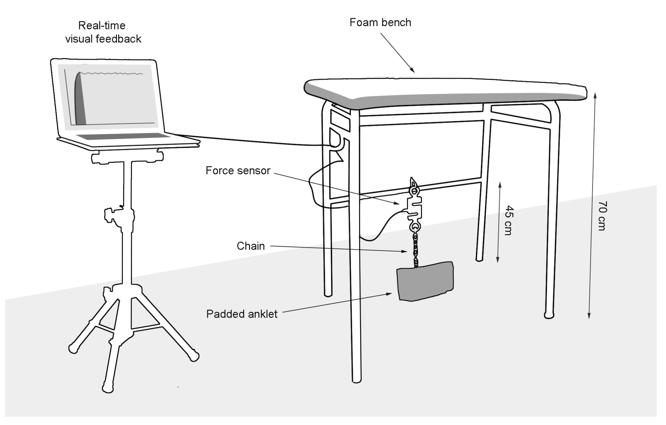 Applsci 10 04499 g001 Applsci 10 04499 g001