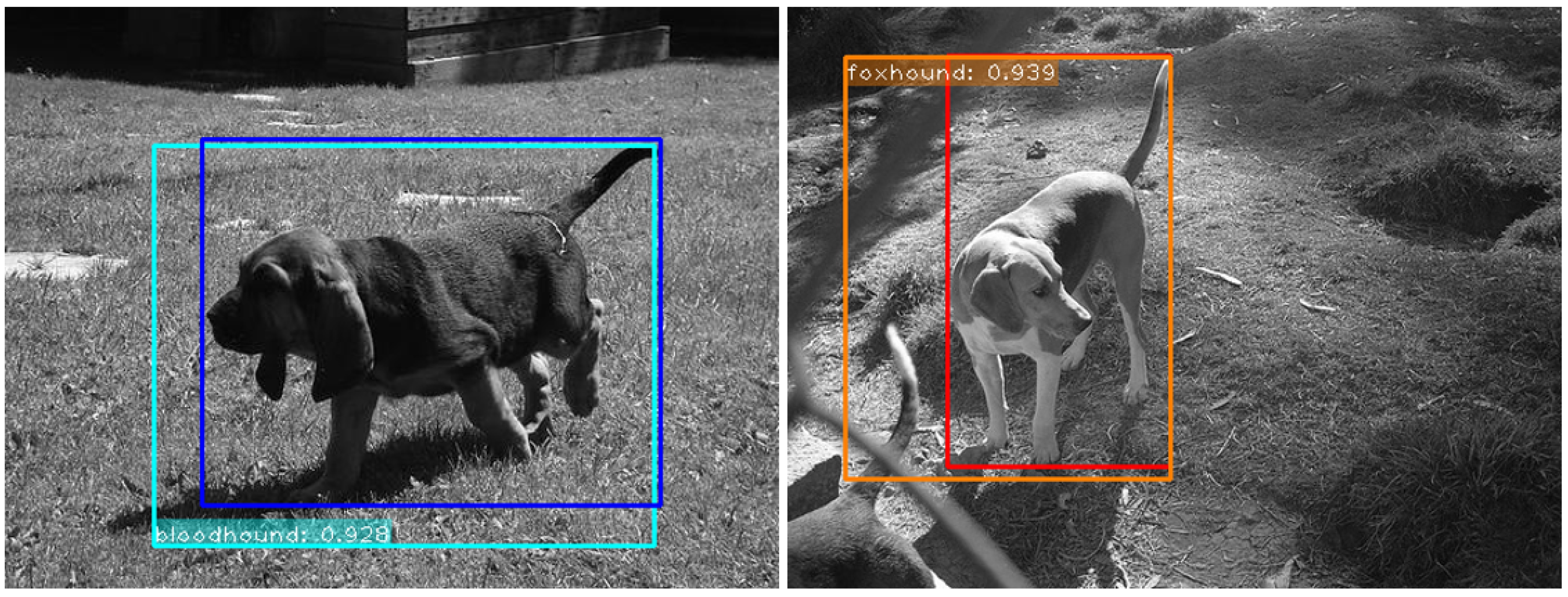 Applsci 10 04519 g006 Applsci 10 04519 g006