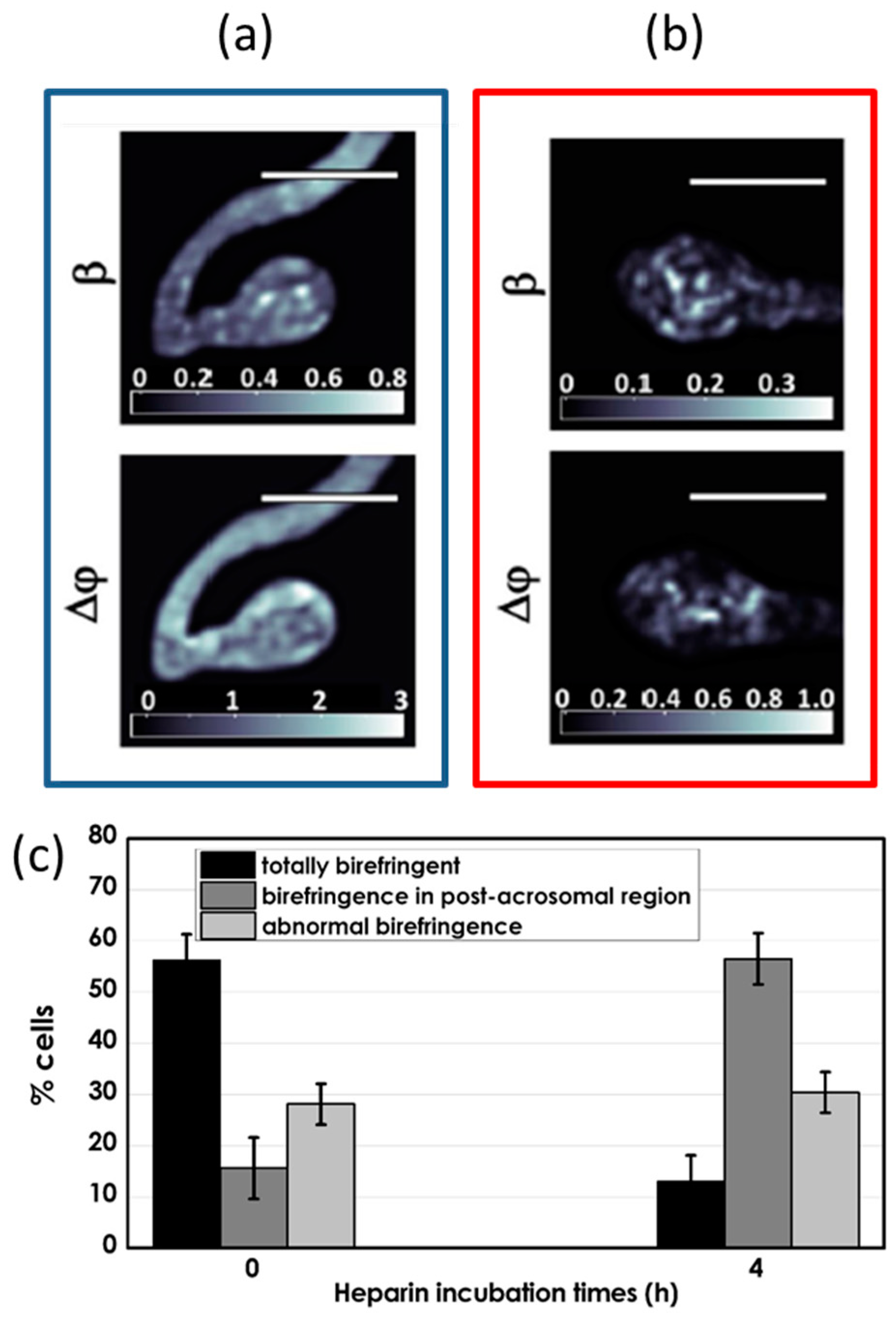 Applsci 10 04520 g008