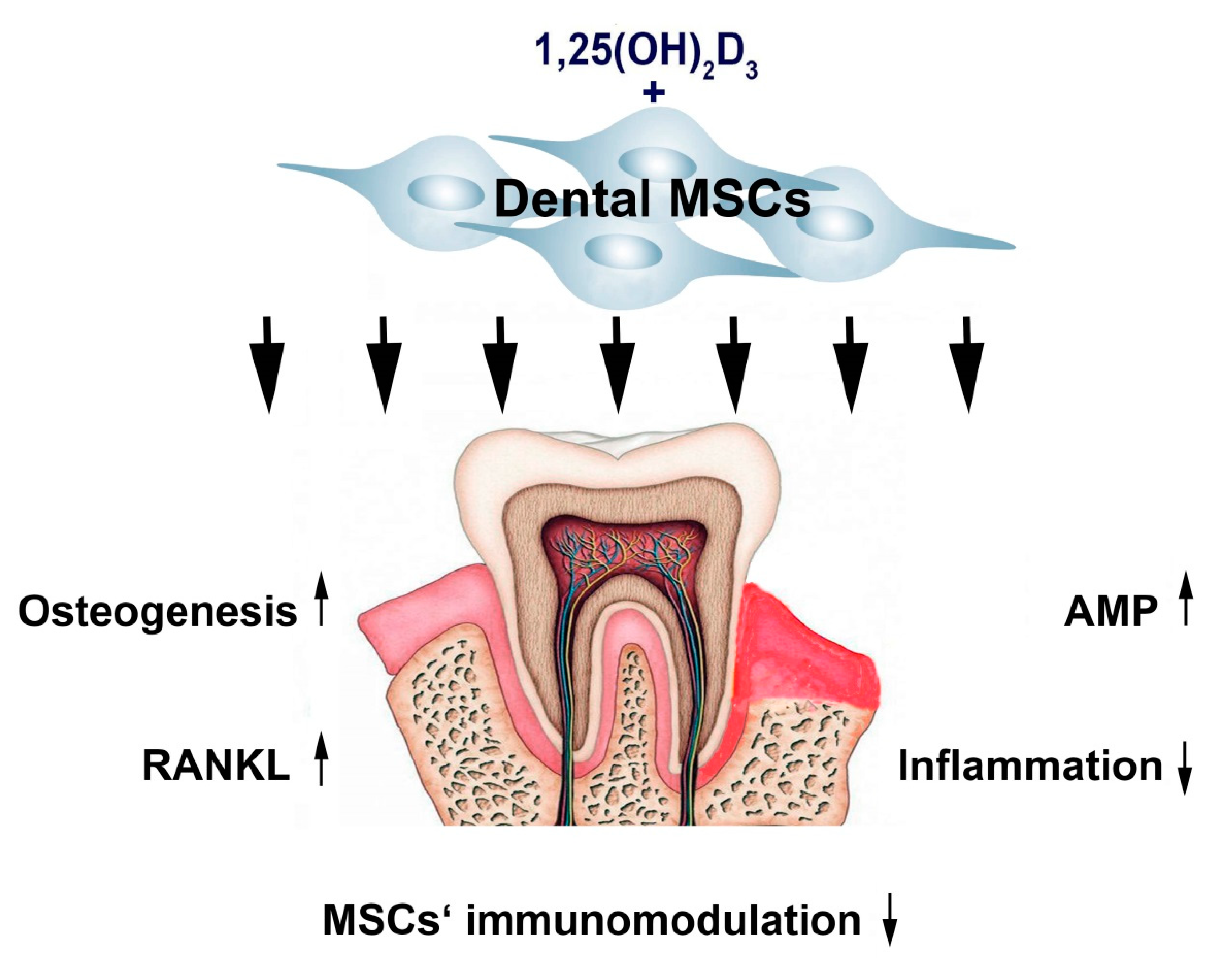 Applsci 10 04527 g002 Applsci 10 04527 g002
