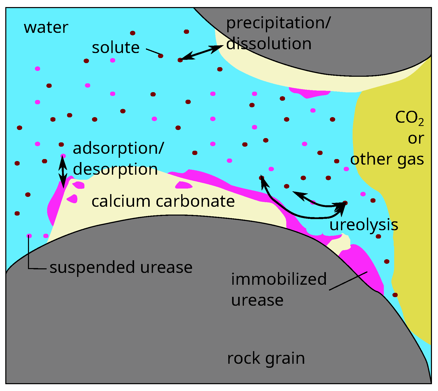 Applsci 10 04538 g001