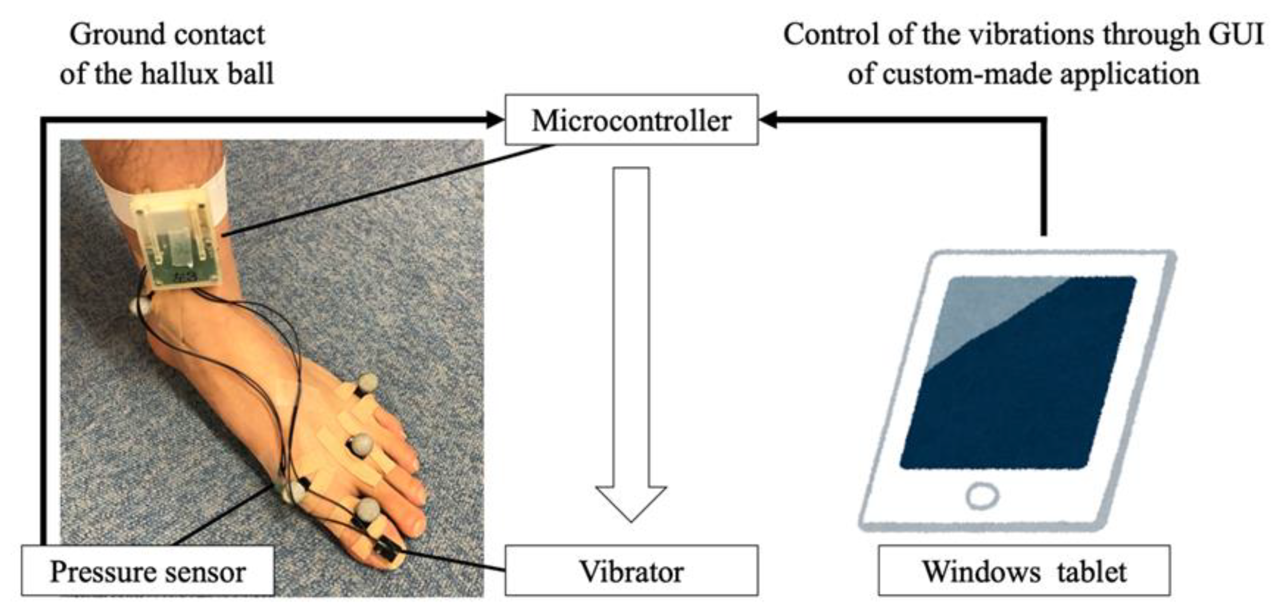 Applsci 10 04562 g001