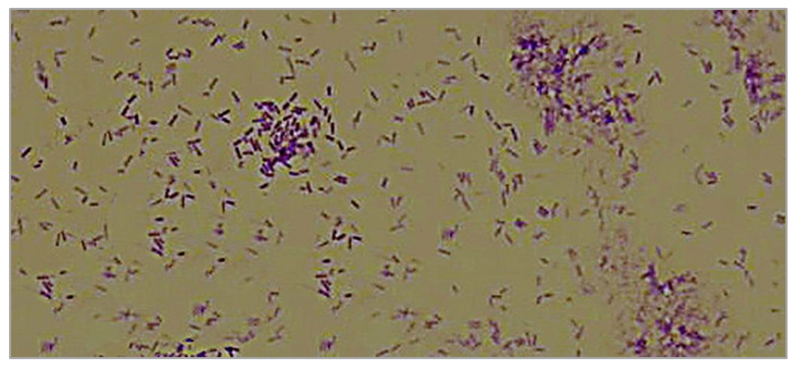 Applsci 10 04593 g002 Applsci 10 04593 g002