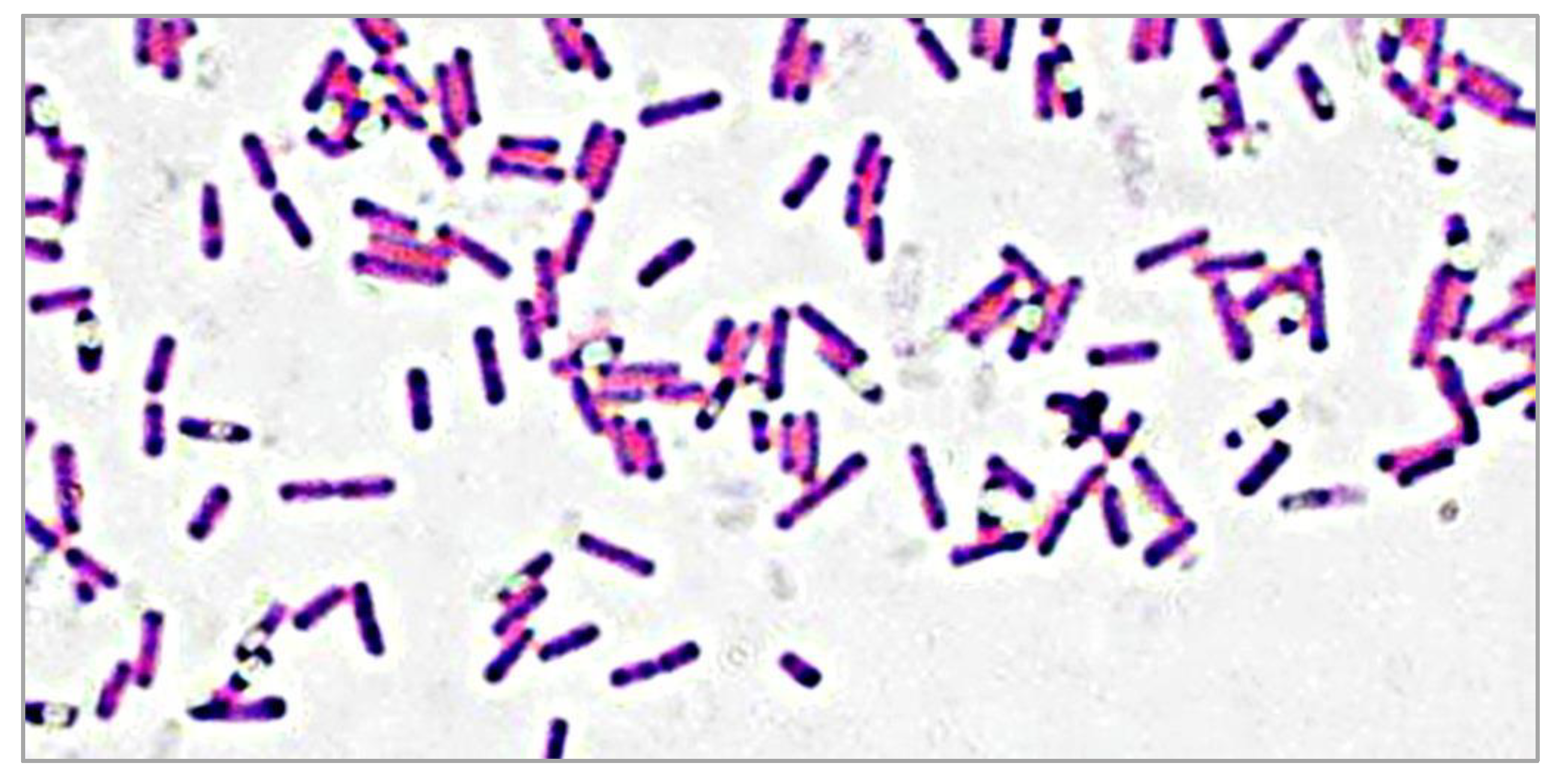 Applsci 10 04593 g003 Applsci 10 04593 g003