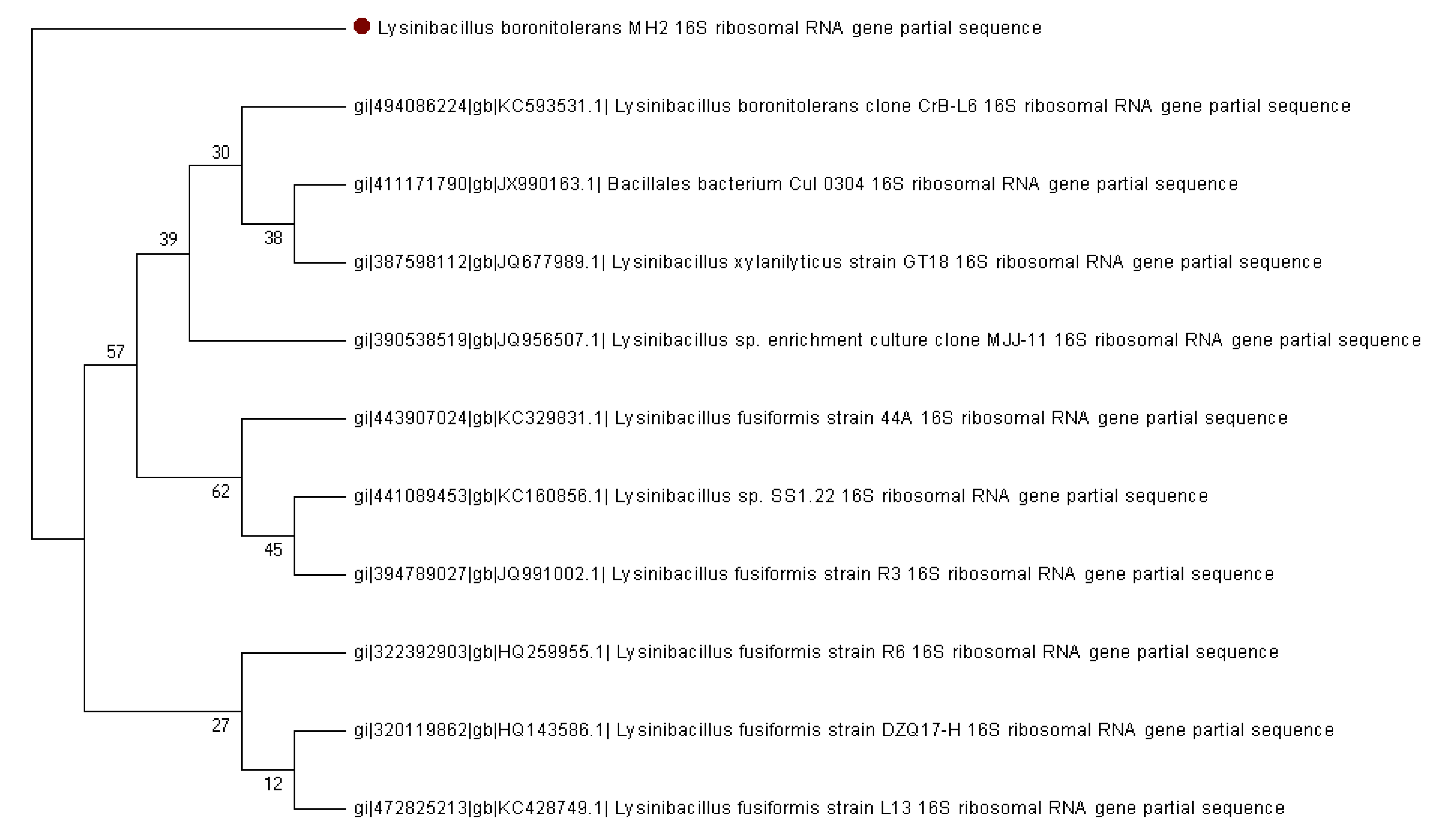 Applsci 10 04593 g005 Applsci 10 04593 g005