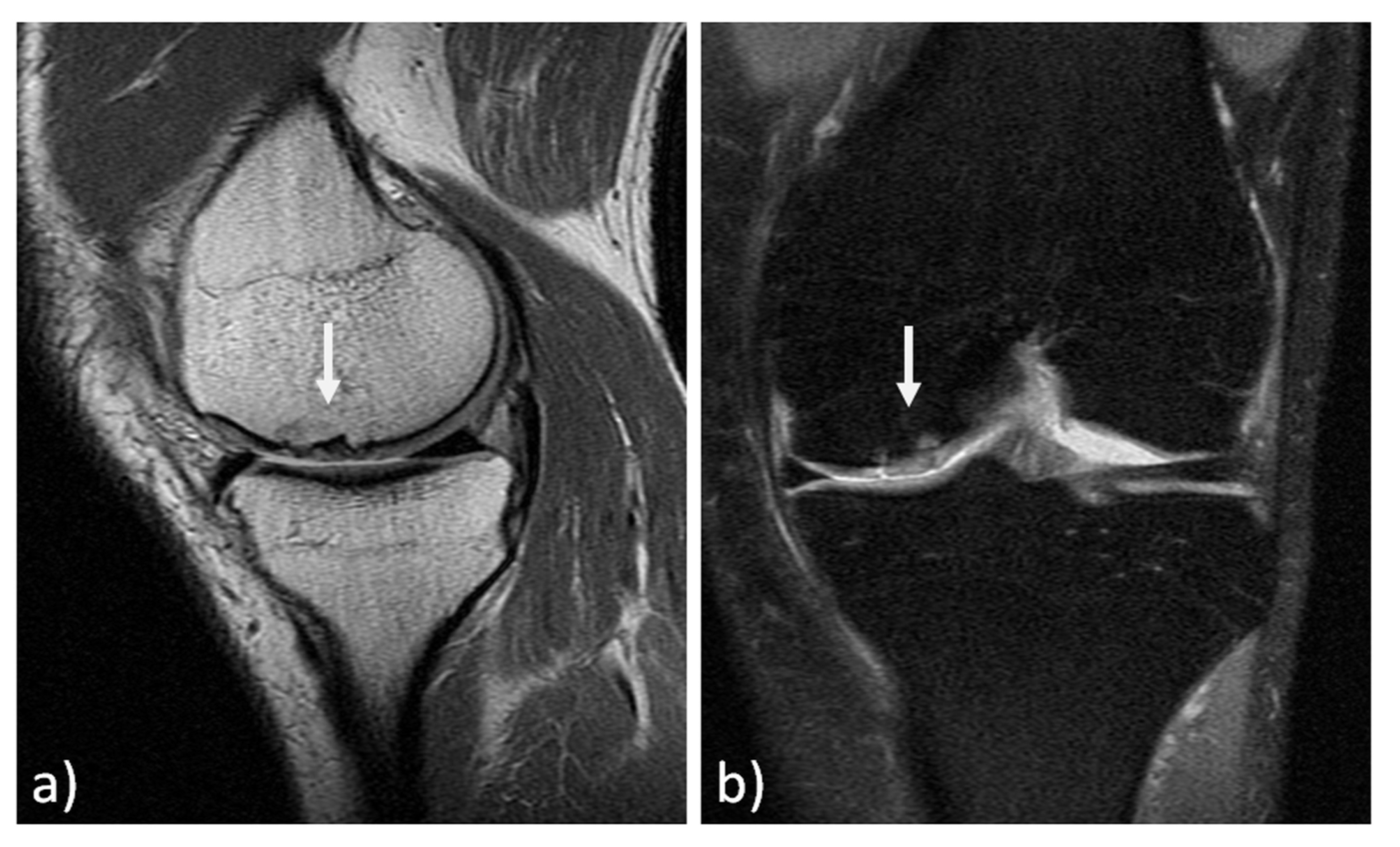 Applsci 10 04615 g003 Applsci 10 04615 g003