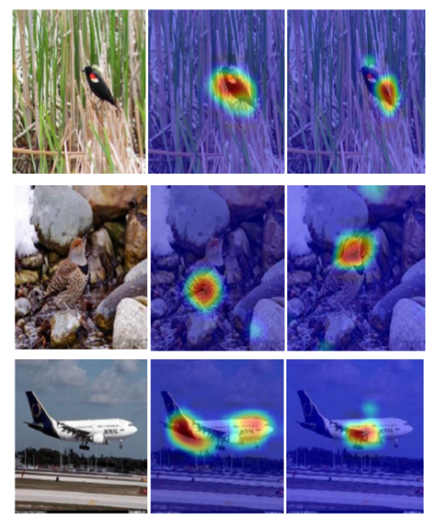 Applsci 10 04652 g001