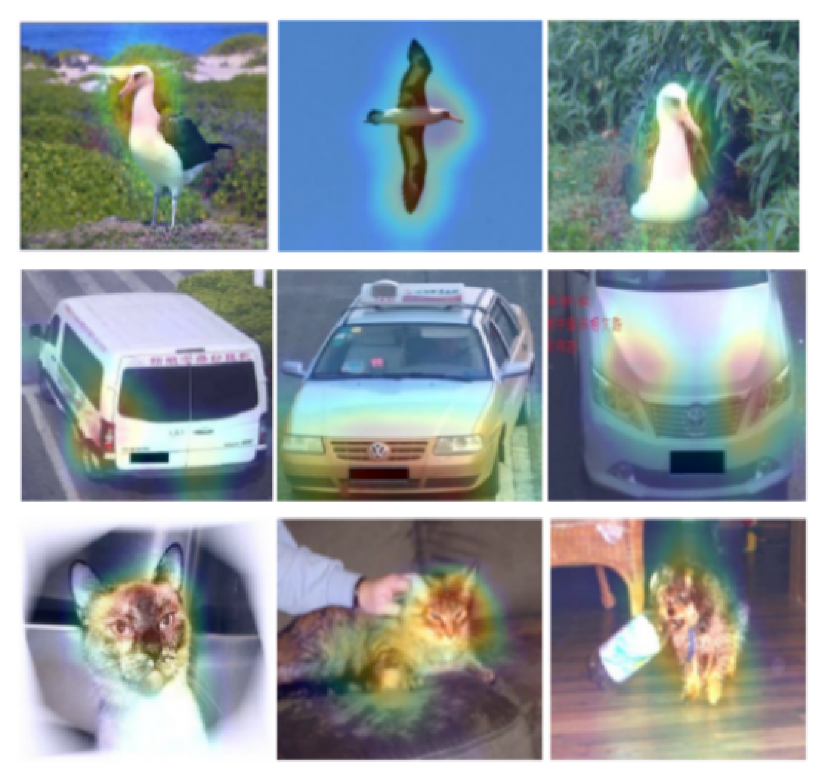 Applsci 10 04652 g003