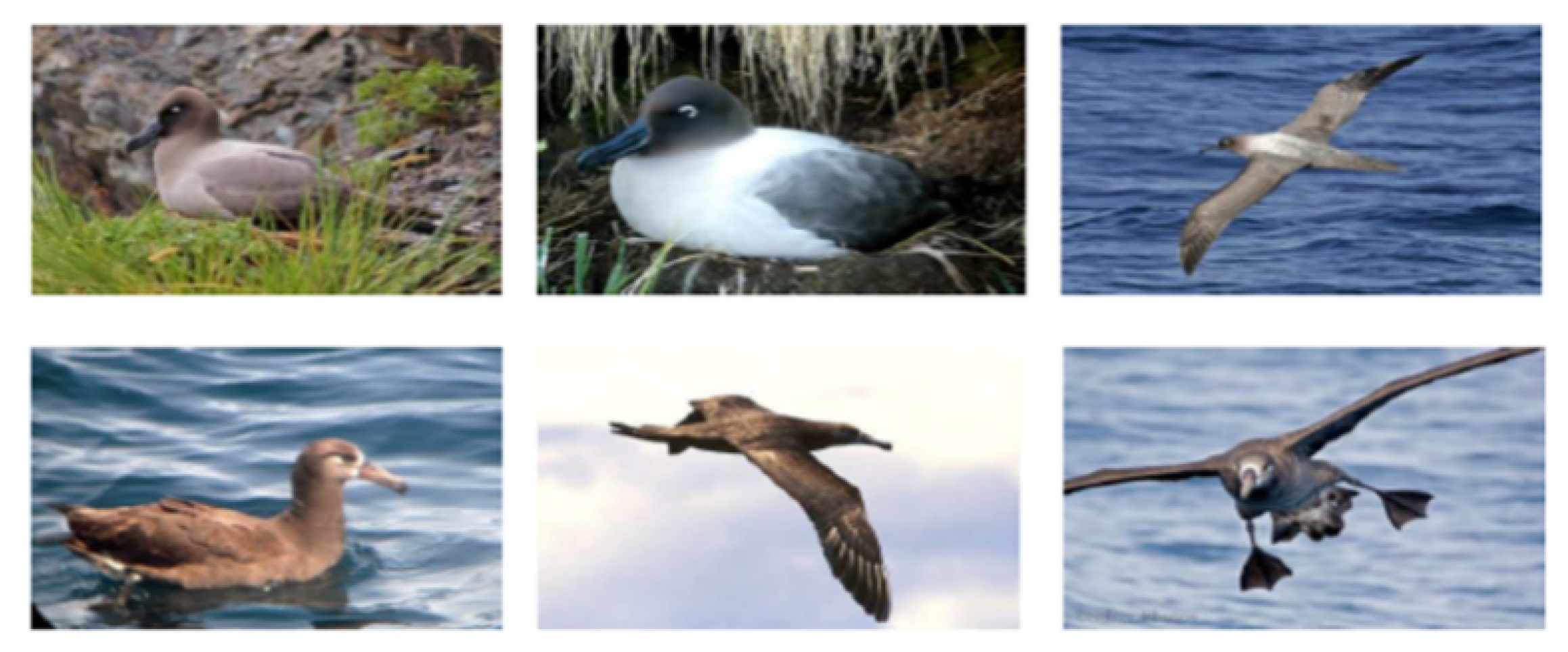 Applsci 10 04652 g006