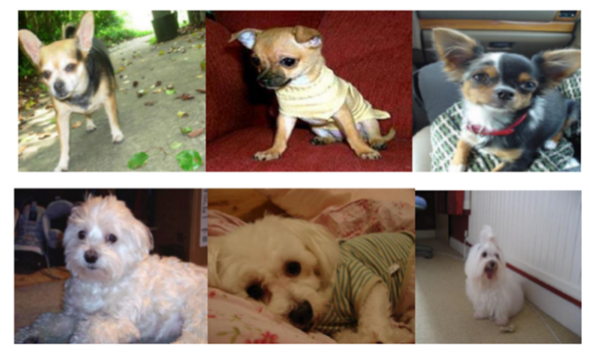 Applsci 10 04652 g007