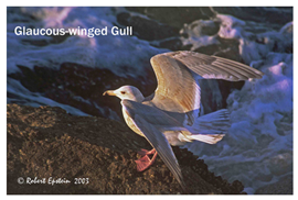 Applsci 10 04652 i001