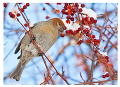 Applsci 10 04652 i003