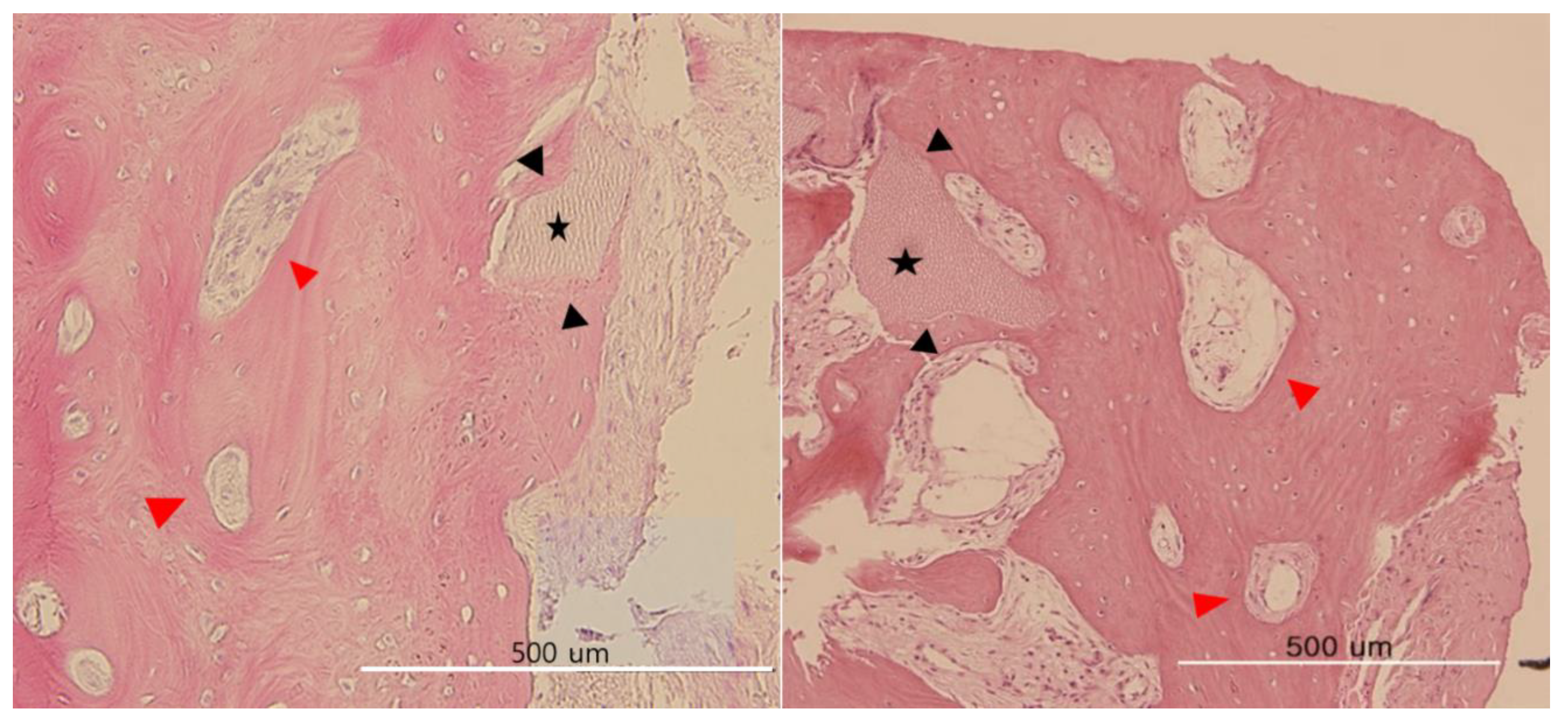 Applsci 10 04661 g004 Applsci 10 04661 g004
