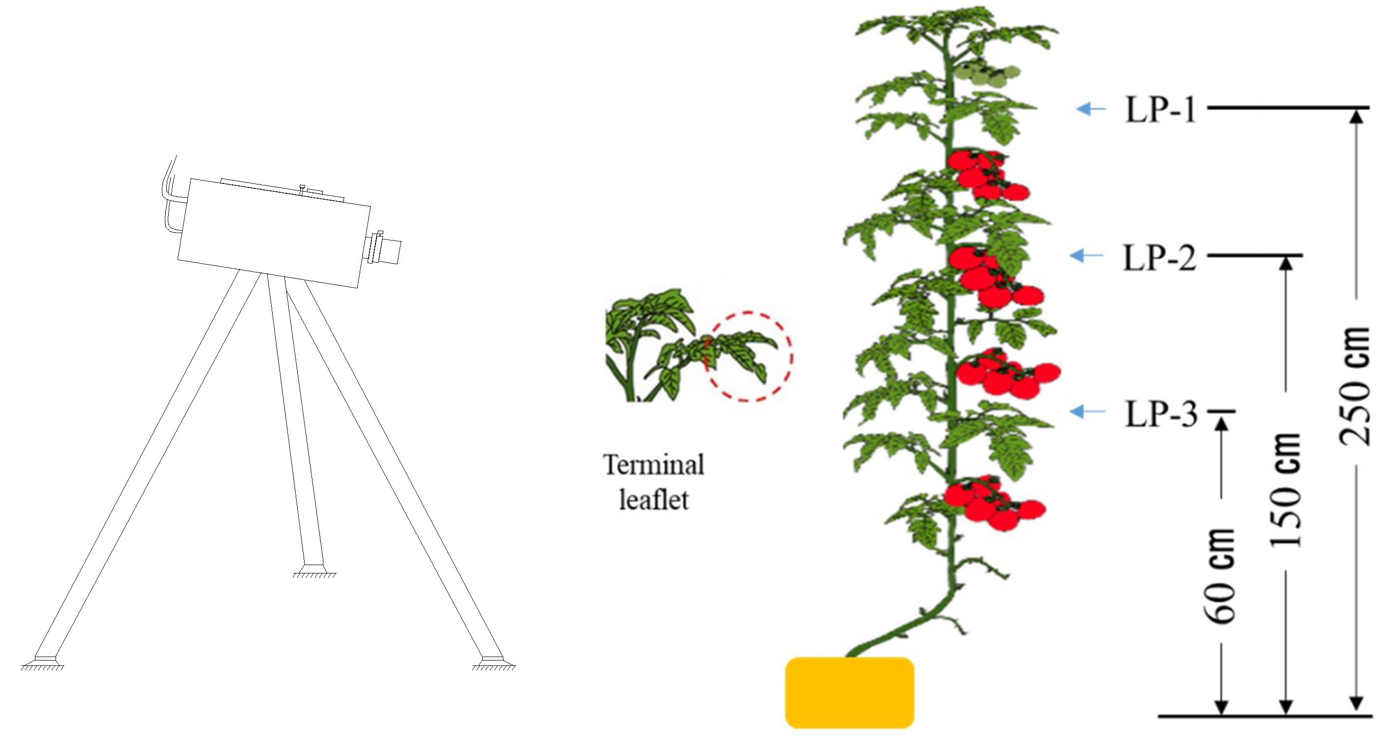 Applsci 10 04665 g001 Applsci 10 04665 g001