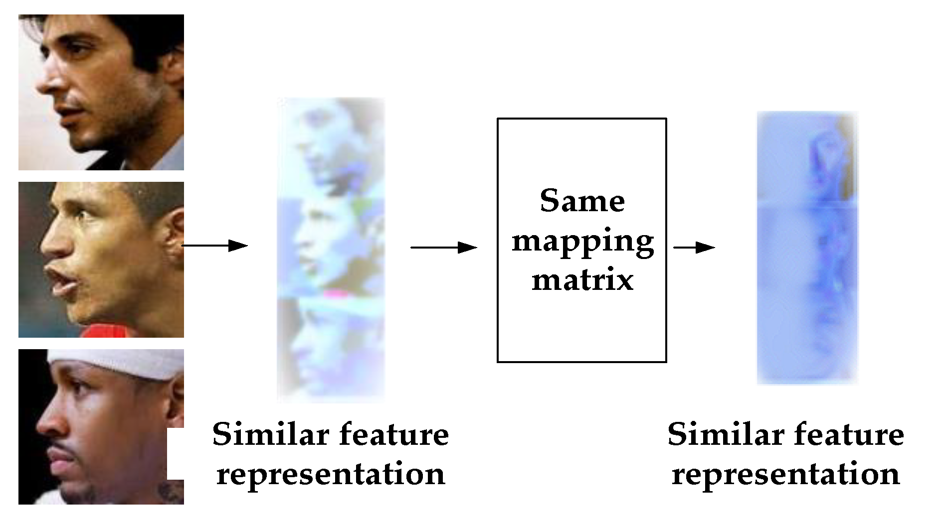 Applsci 10 04669 g004