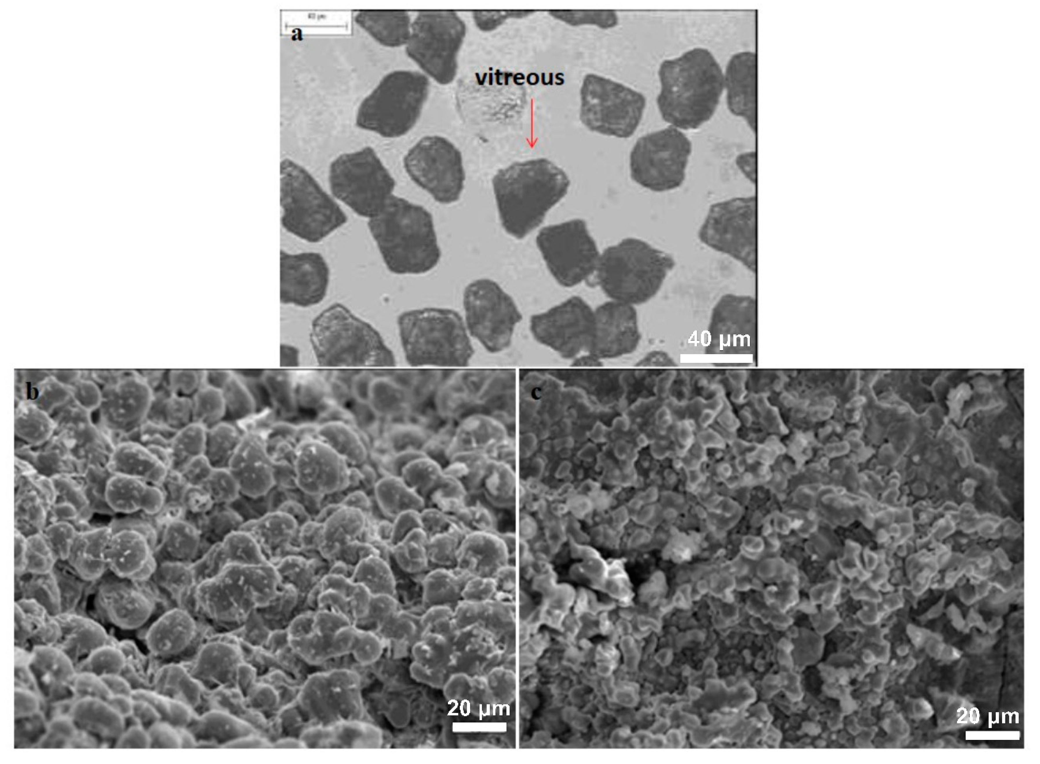 Applsci 10 04670 g002