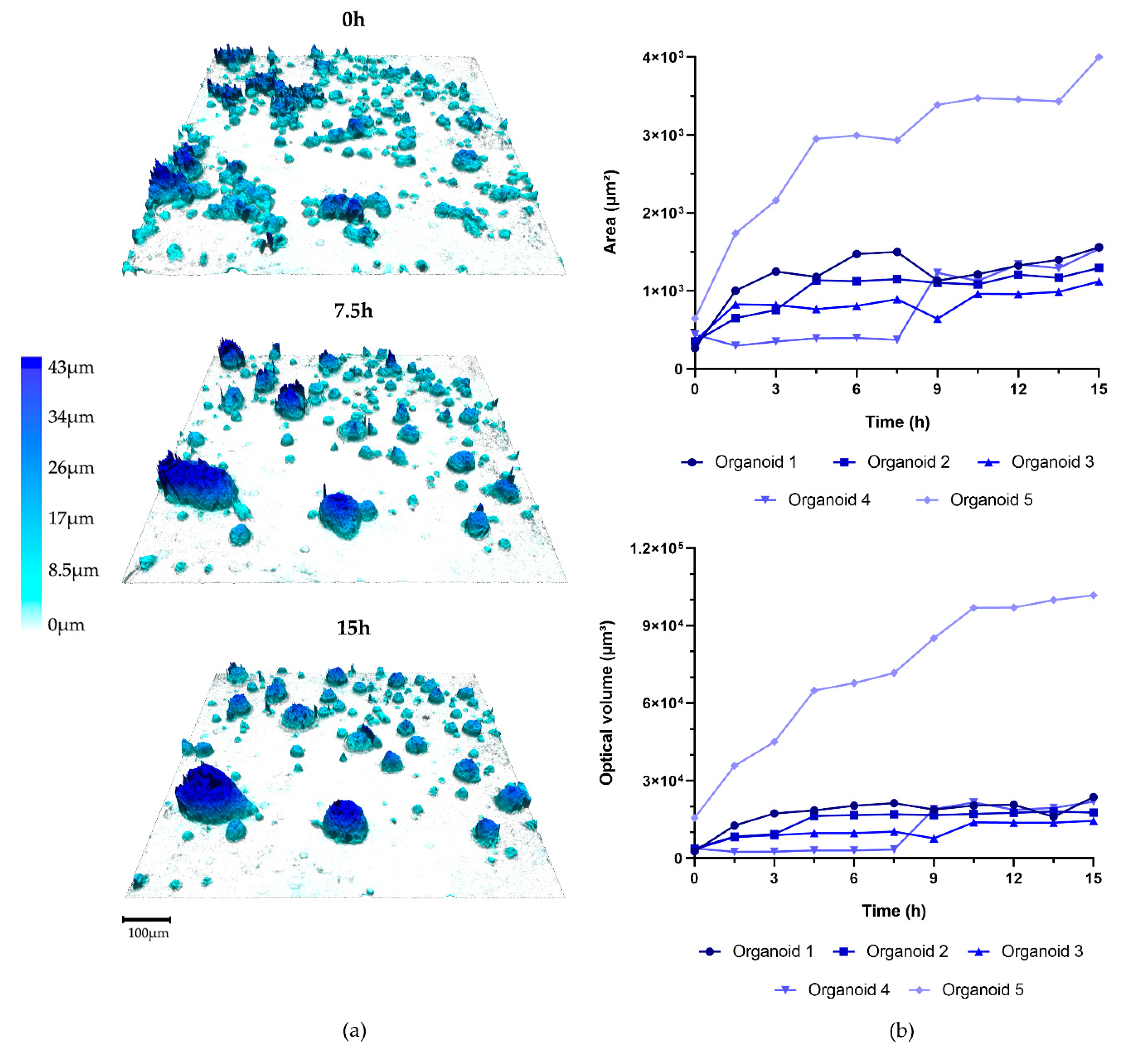 Applsci 10 04673 g002
