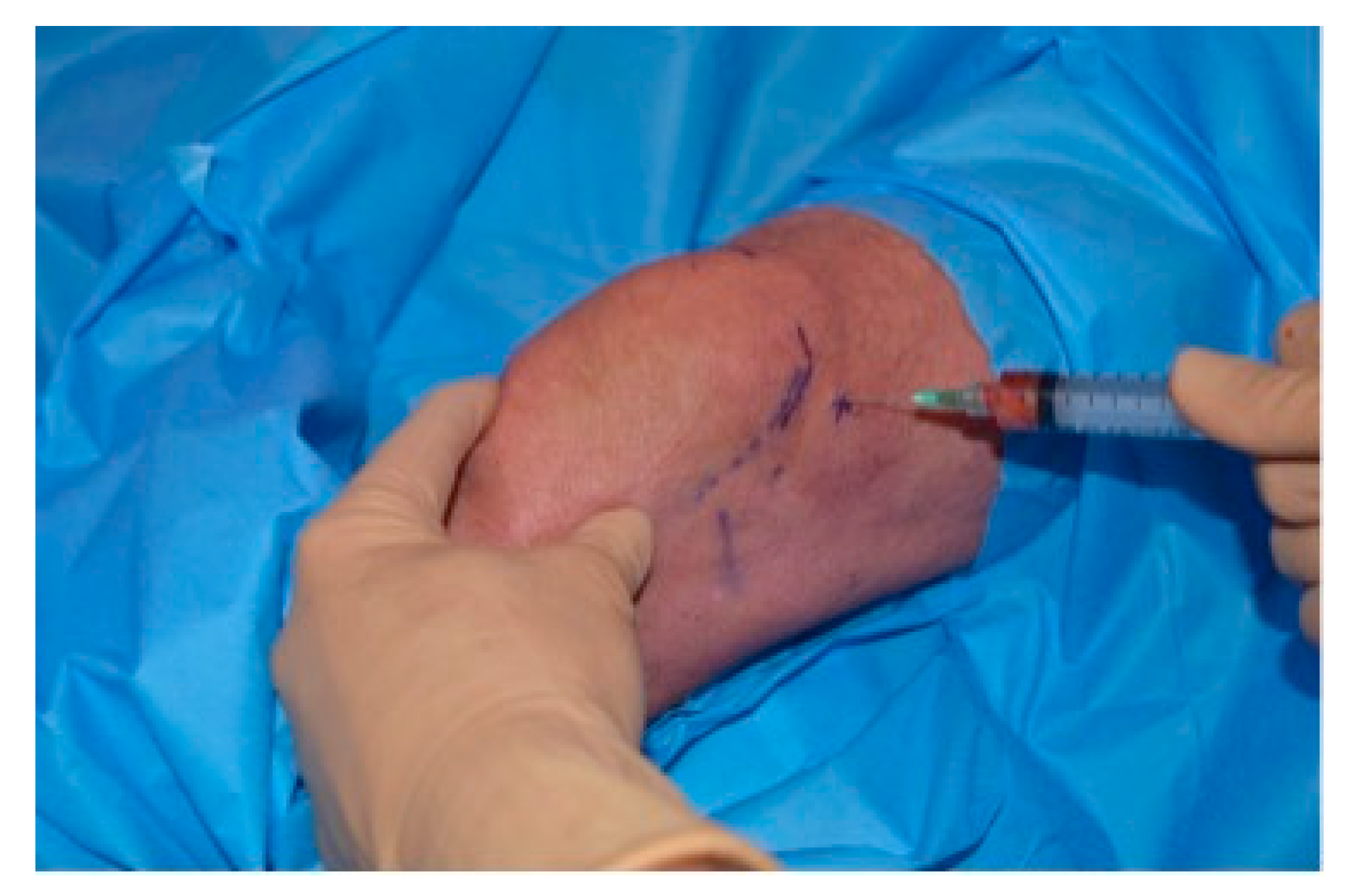 Applsci 10 04691 g003 Applsci 10 04691 g003