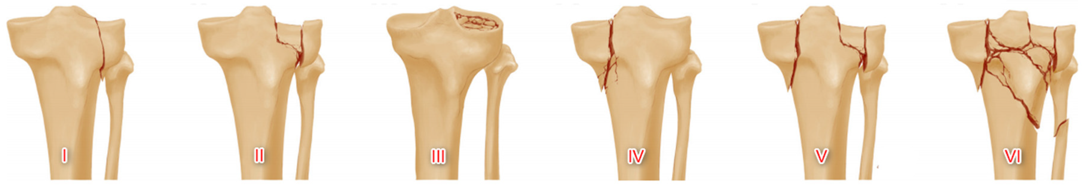 Applsci 10 04697 g001